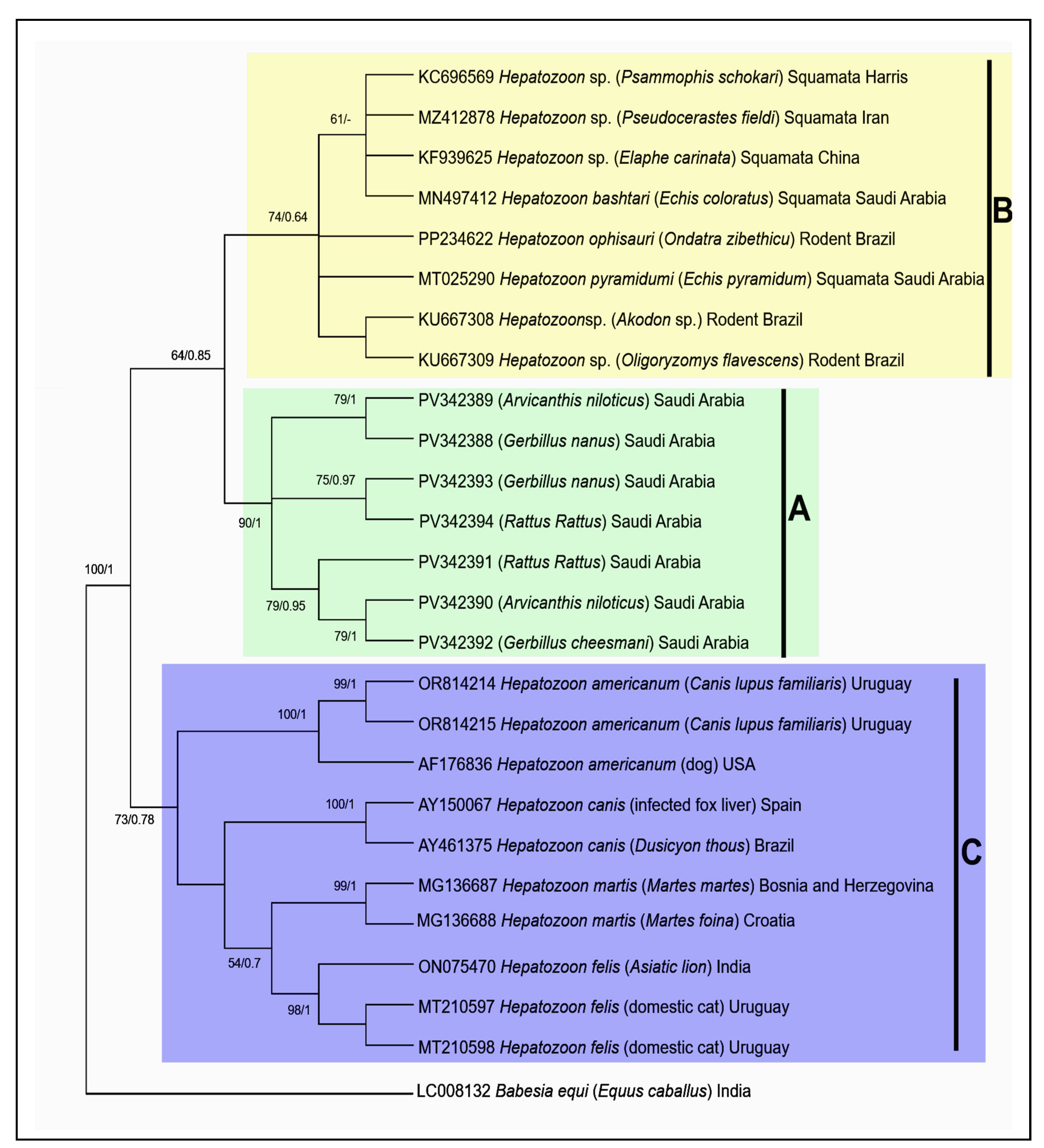 Vetsci 12 00608 g003 Vetsci 12 00608 g003