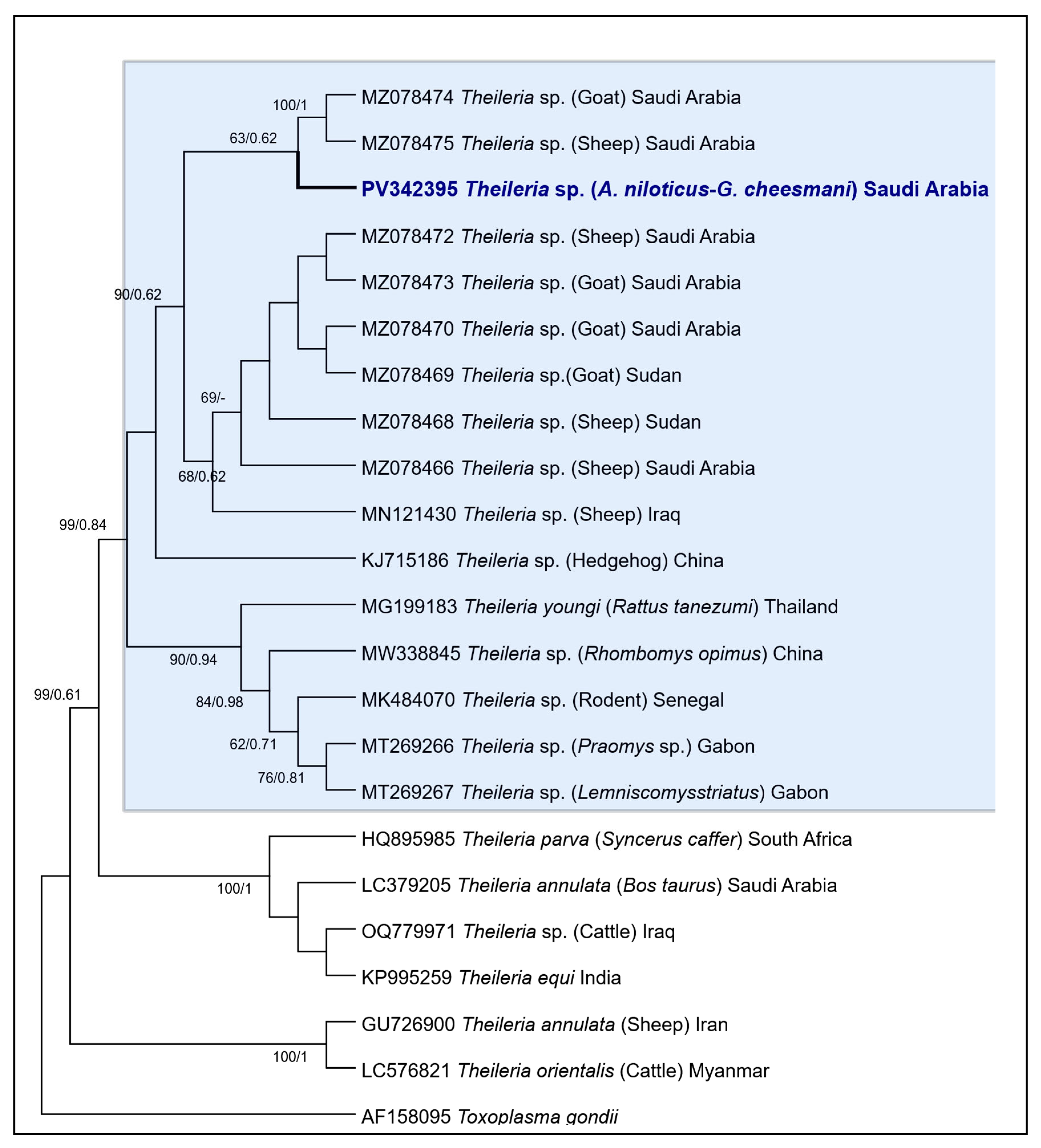 Vetsci 12 00608 g004 Vetsci 12 00608 g004