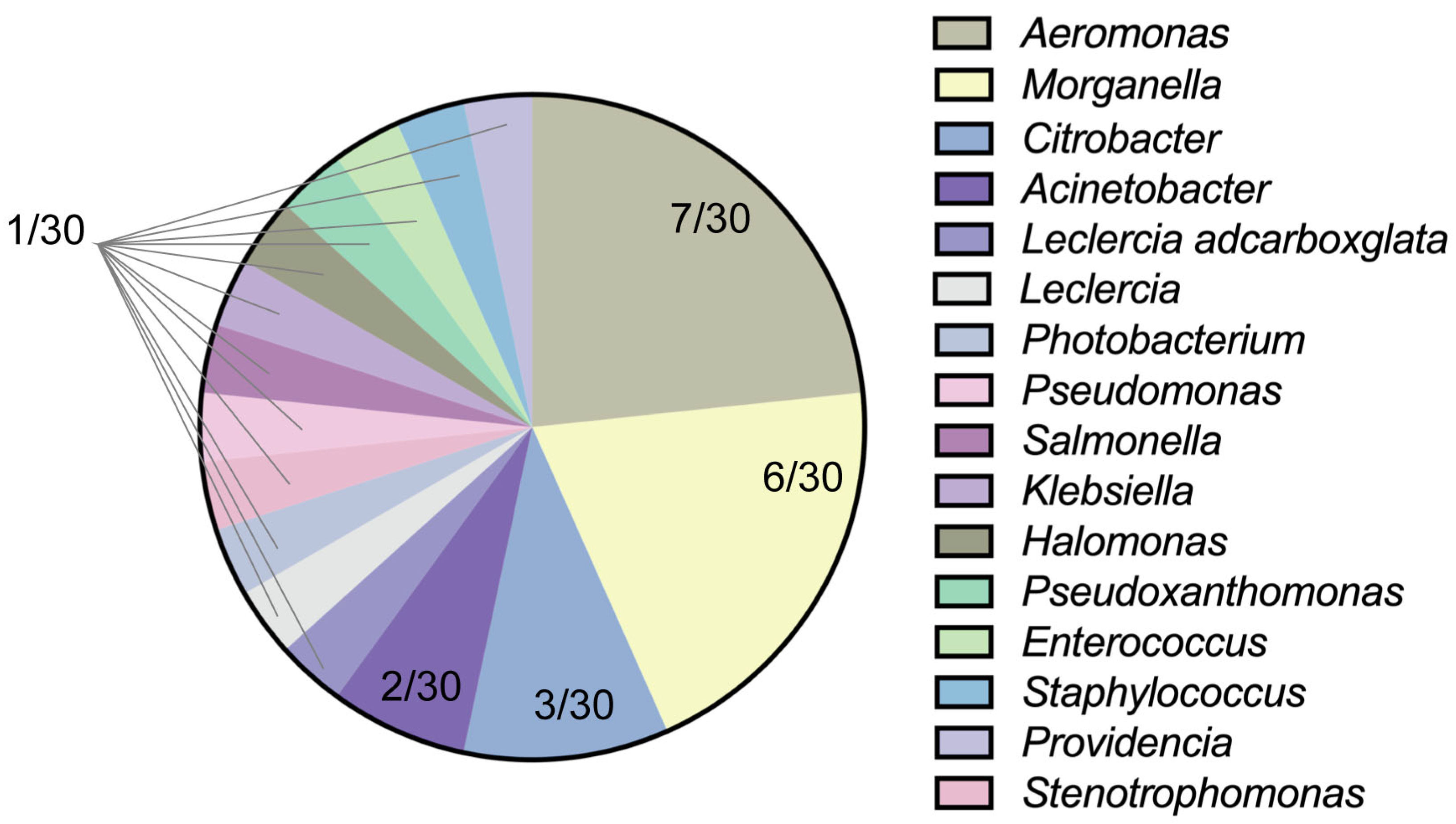 N*E*R*D – In Search Of... オリジナル Rational regulation of Cu species in N-doped carbon-hosted
