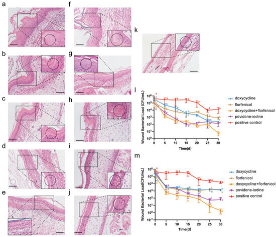 N*E*R*D – In Search Of... オリジナル A framework for tracing the sources of nitrate in surface