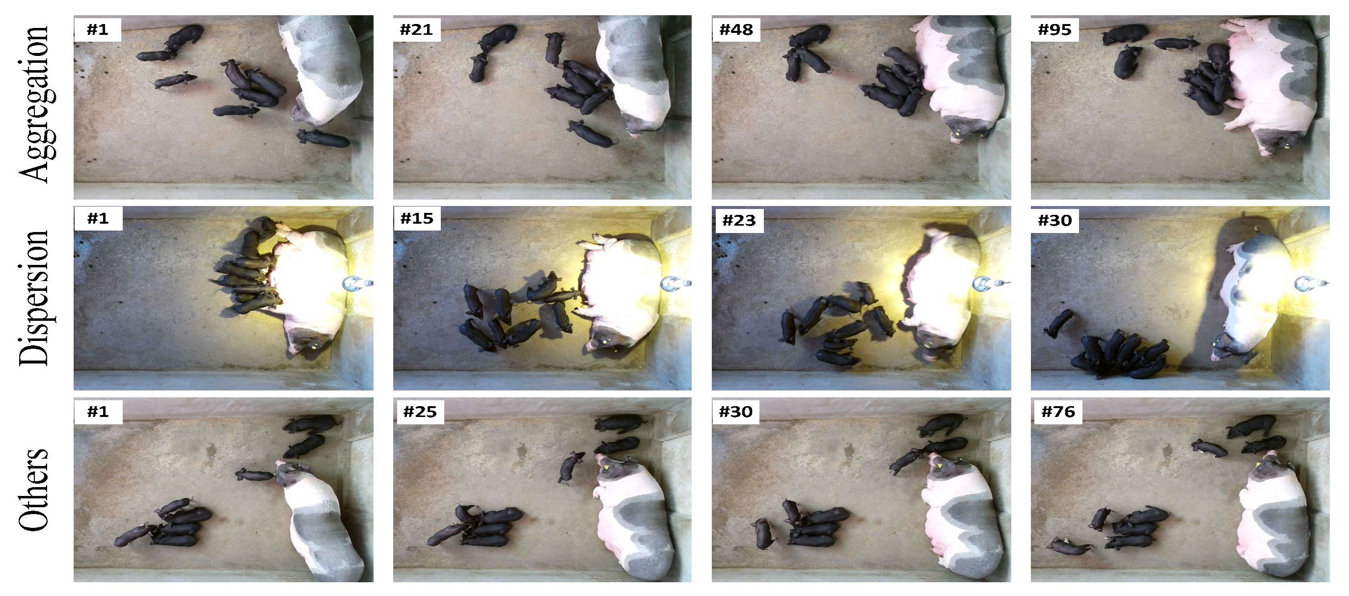 Vetsci 12 00616 g001