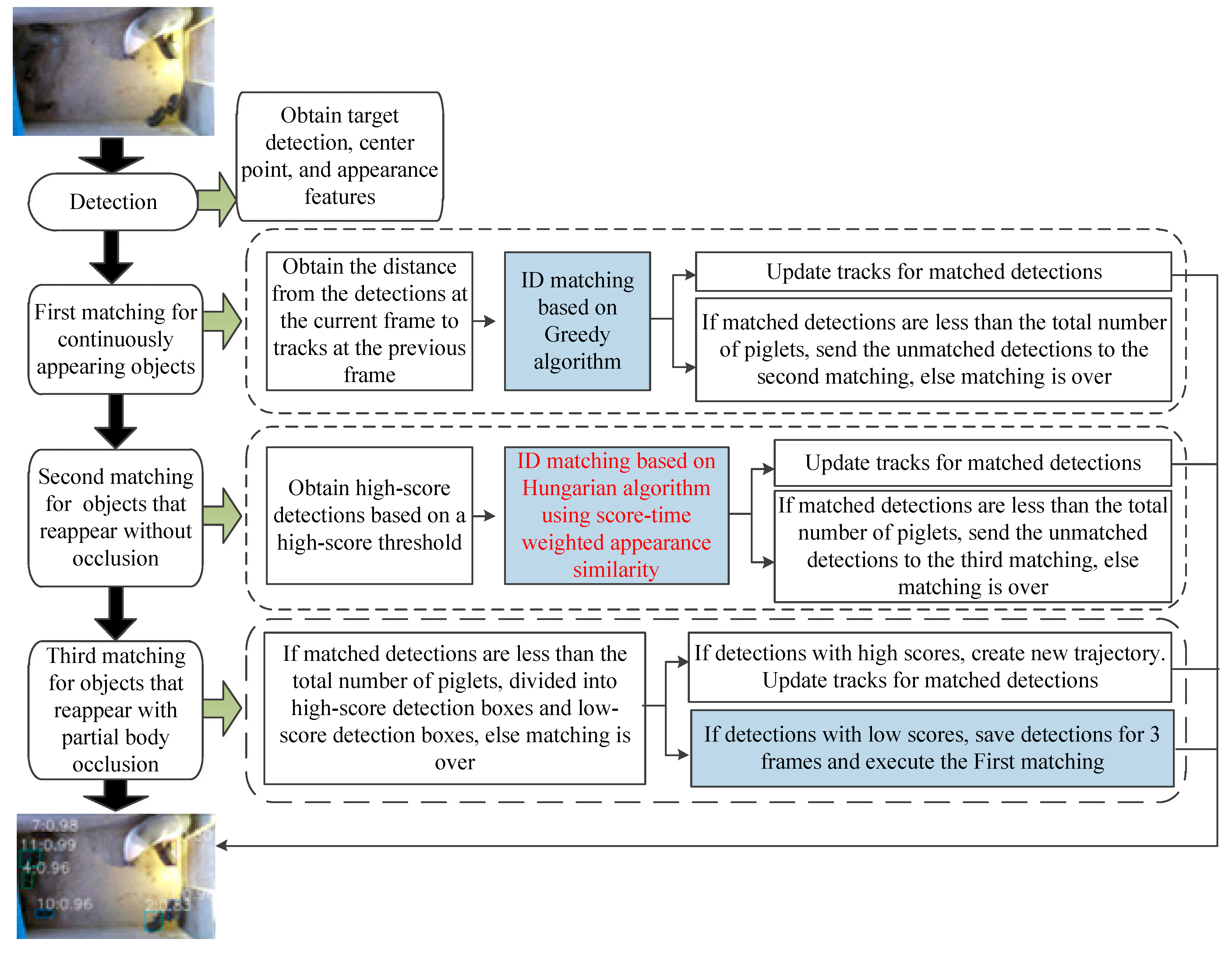 Vetsci 12 00616 g004