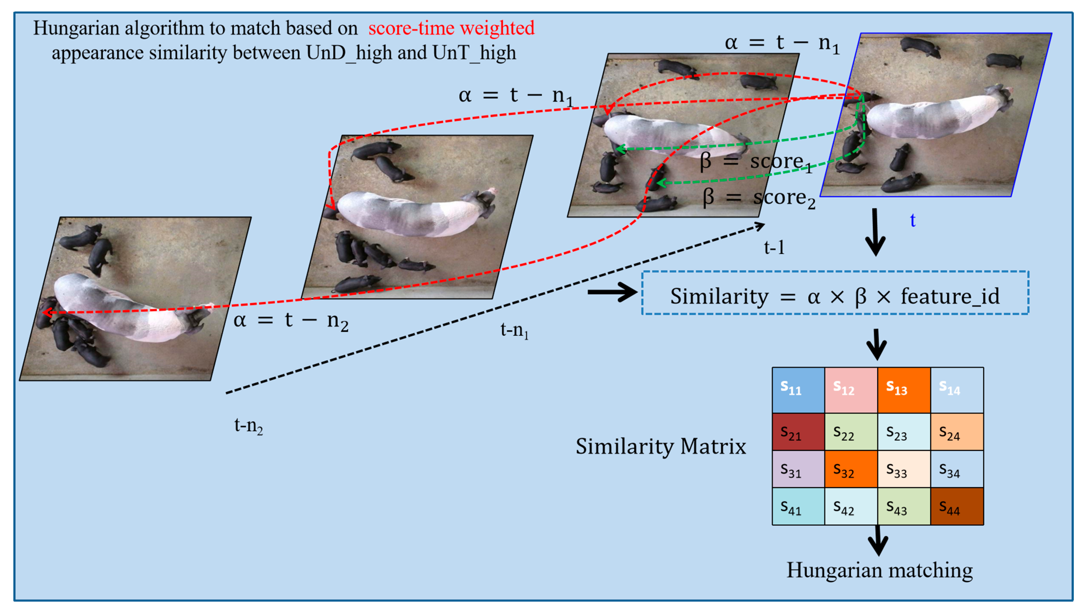 Vetsci 12 00616 g005