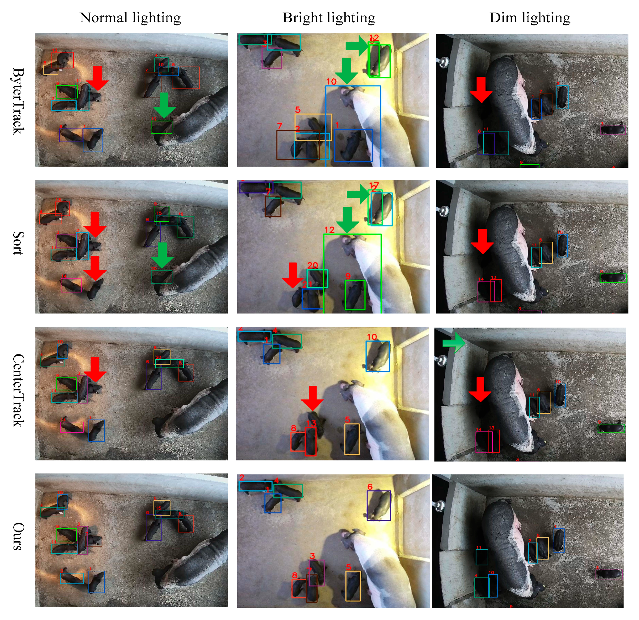 Vetsci 12 00616 g009