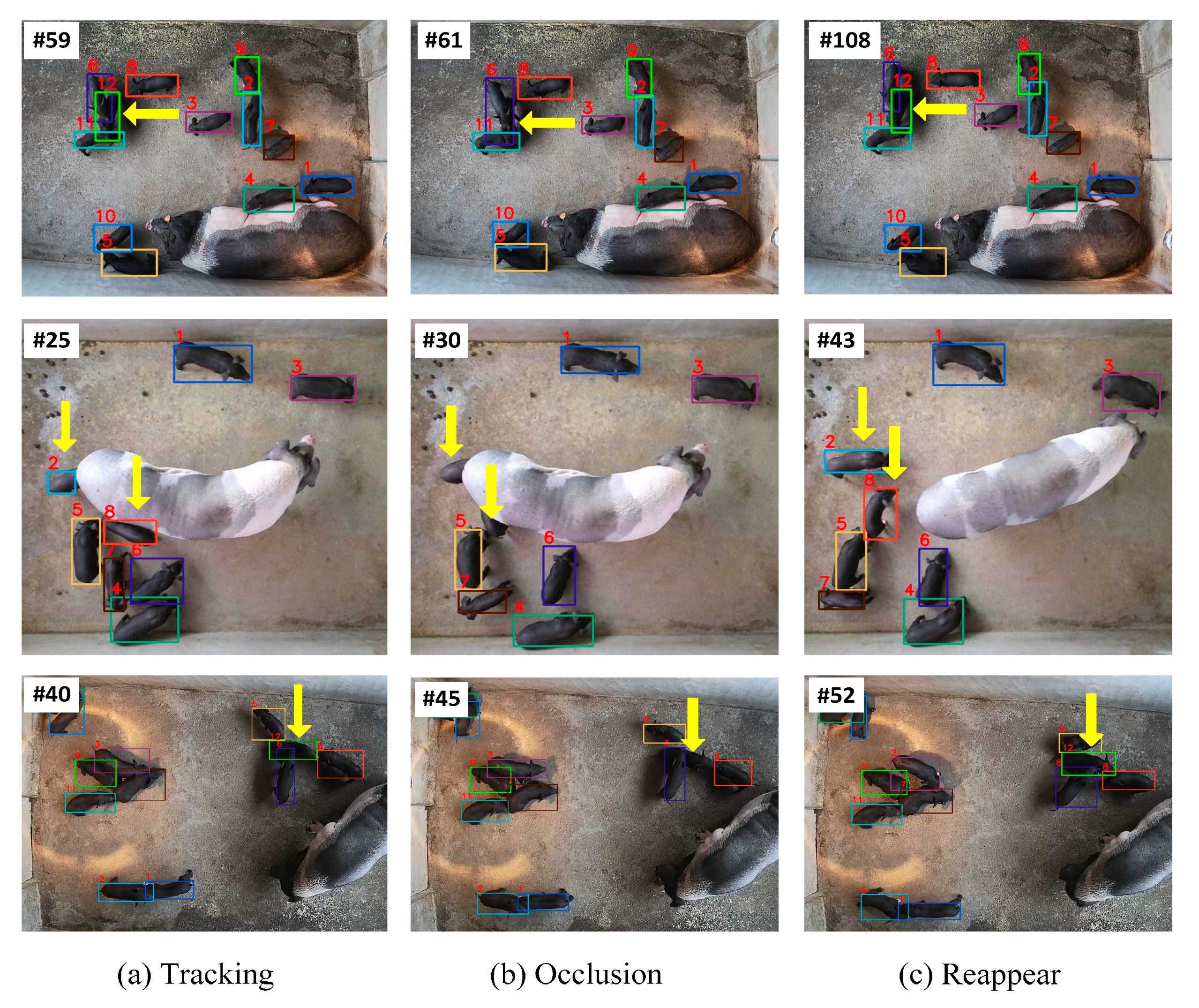 Vetsci 12 00616 g010