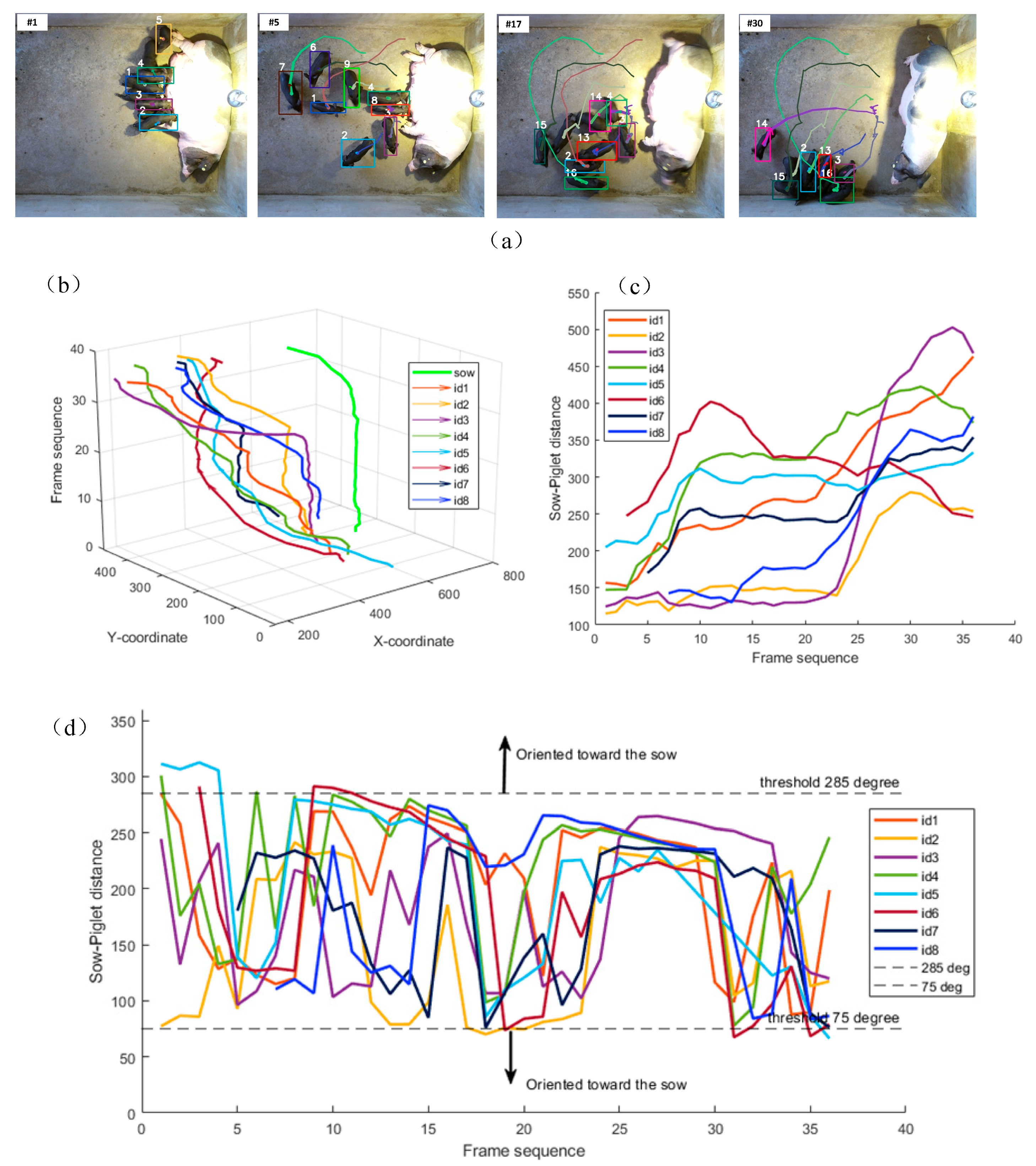 Vetsci 12 00616 g012