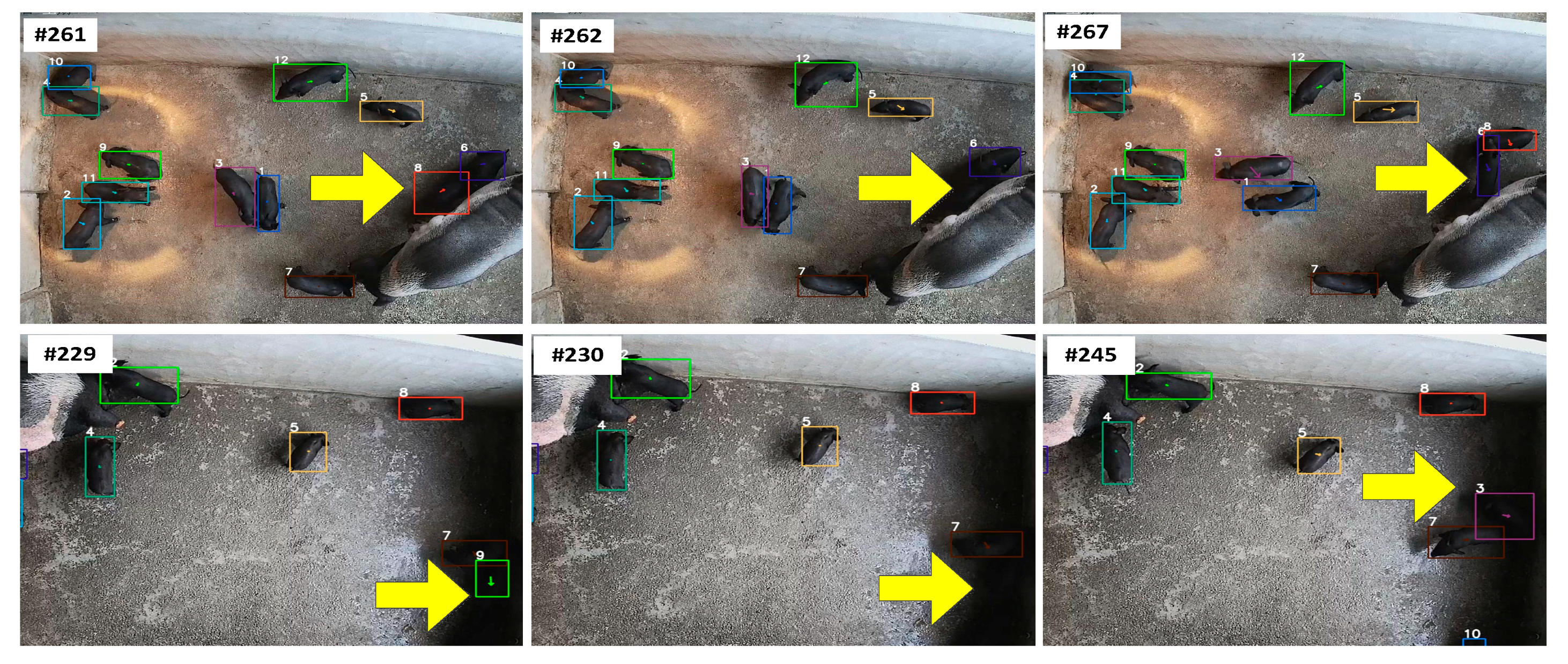 Vetsci 12 00616 g013