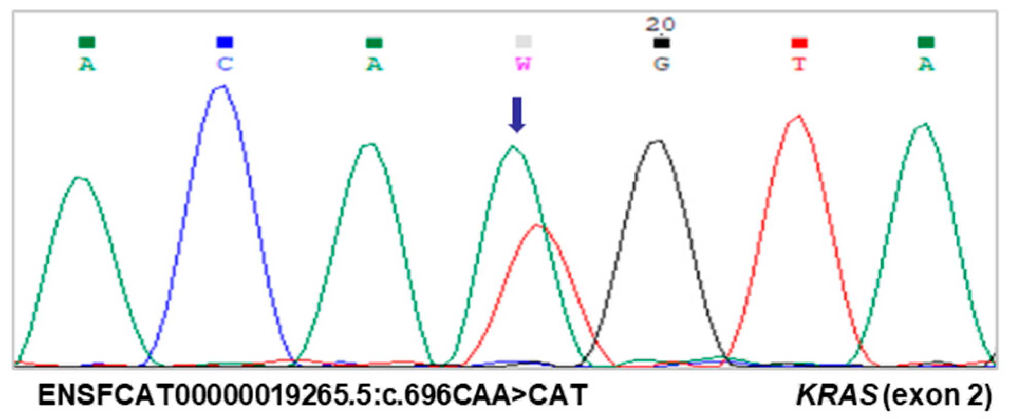 Vetsci 12 00617 g001