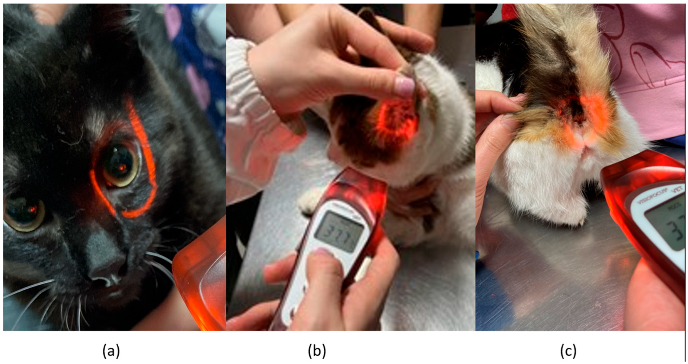 Vetsci 12 00618 g001