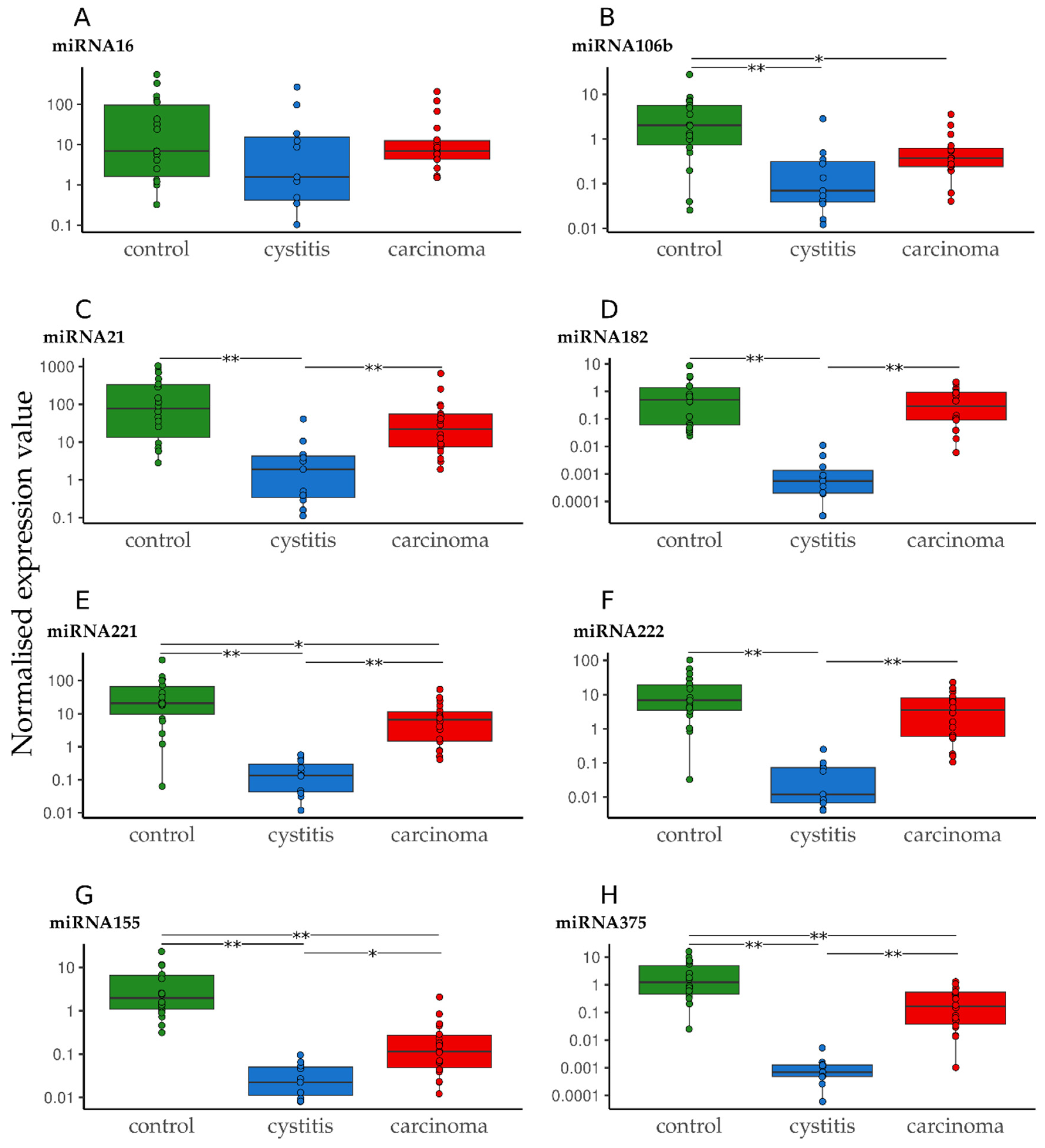 Vetsci 12 00621 g002