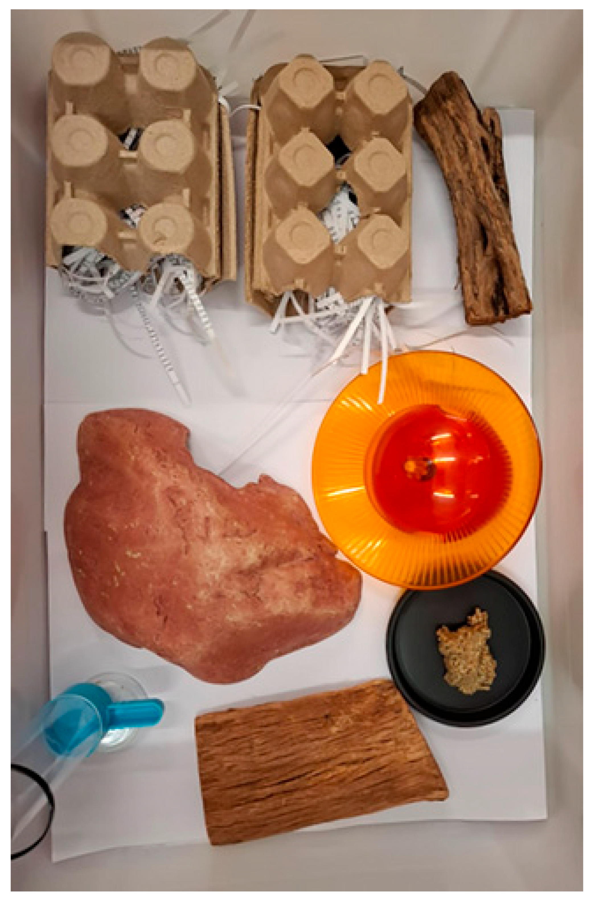 Vetsci 12 00625 g001