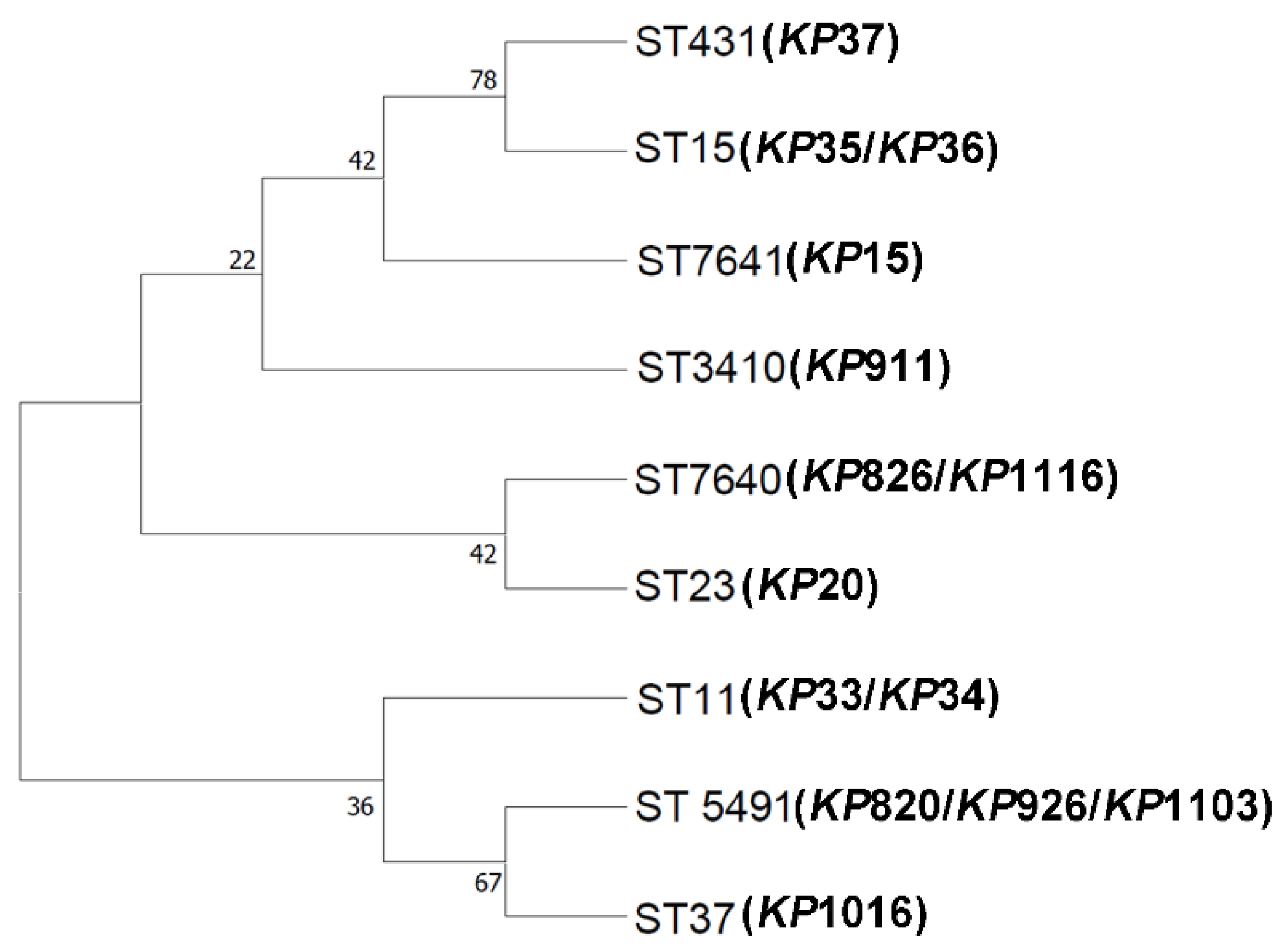 Vetsci 12 00628 g001