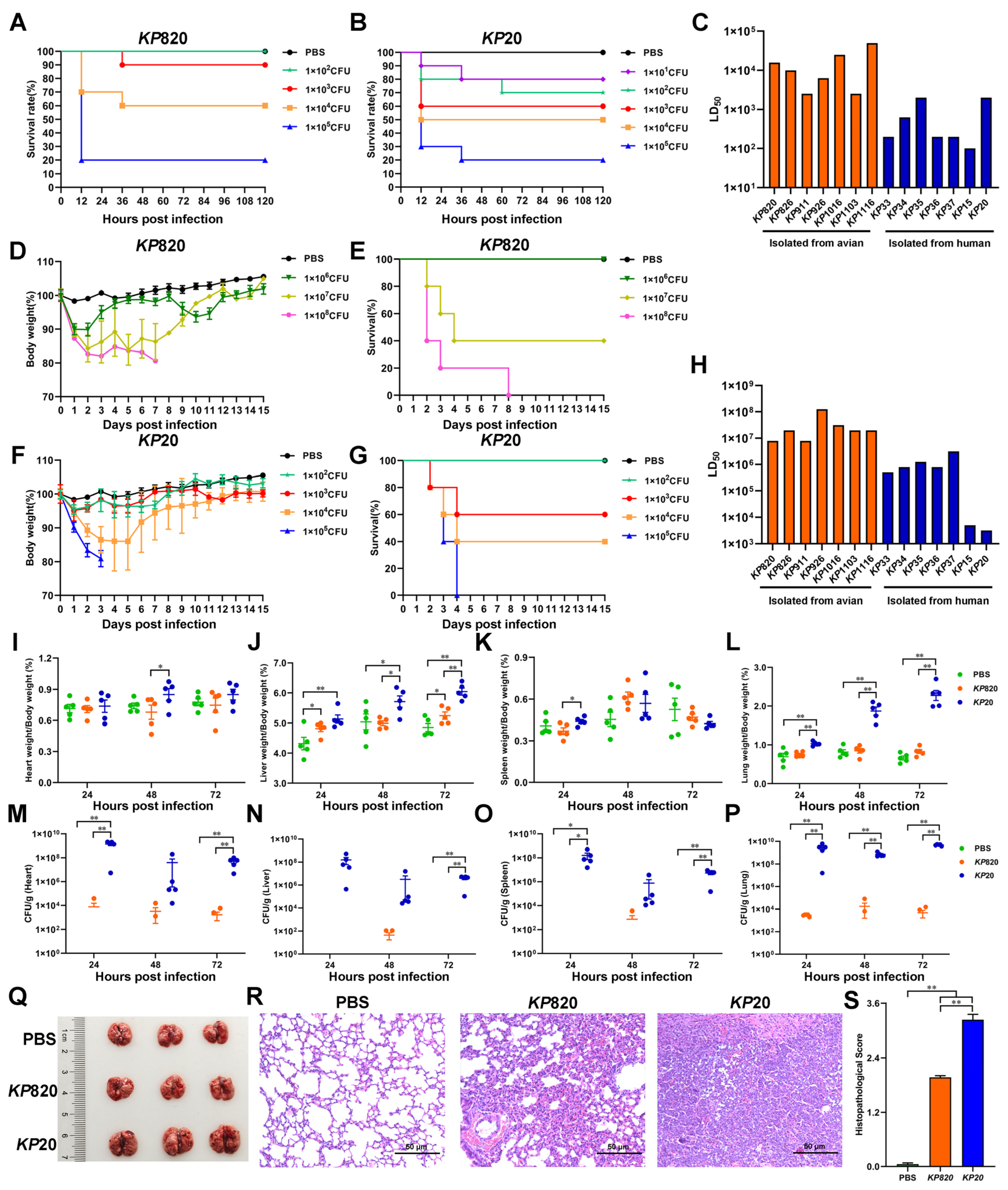 Vetsci 12 00628 g006