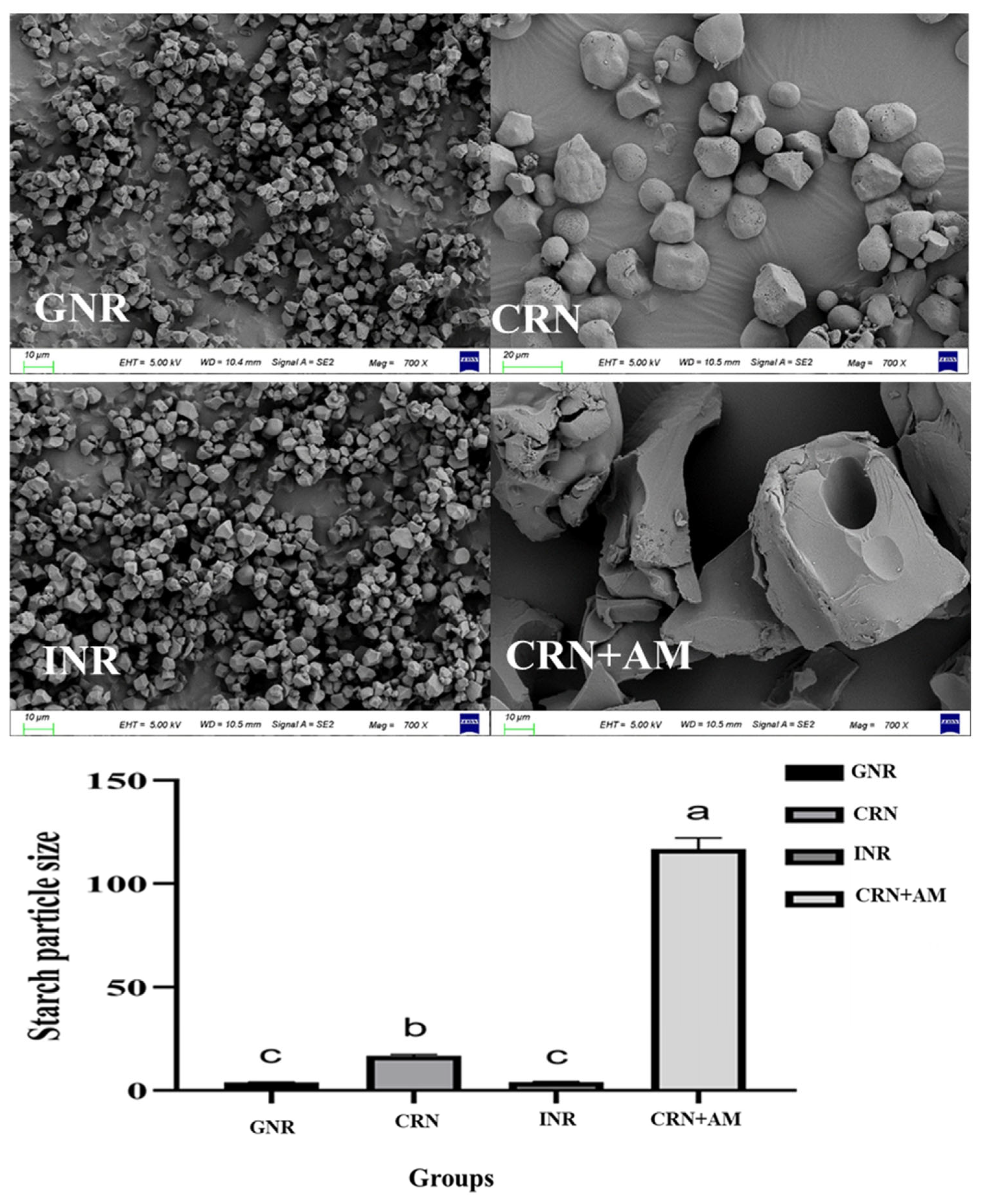 Vetsci 12 00630 g001