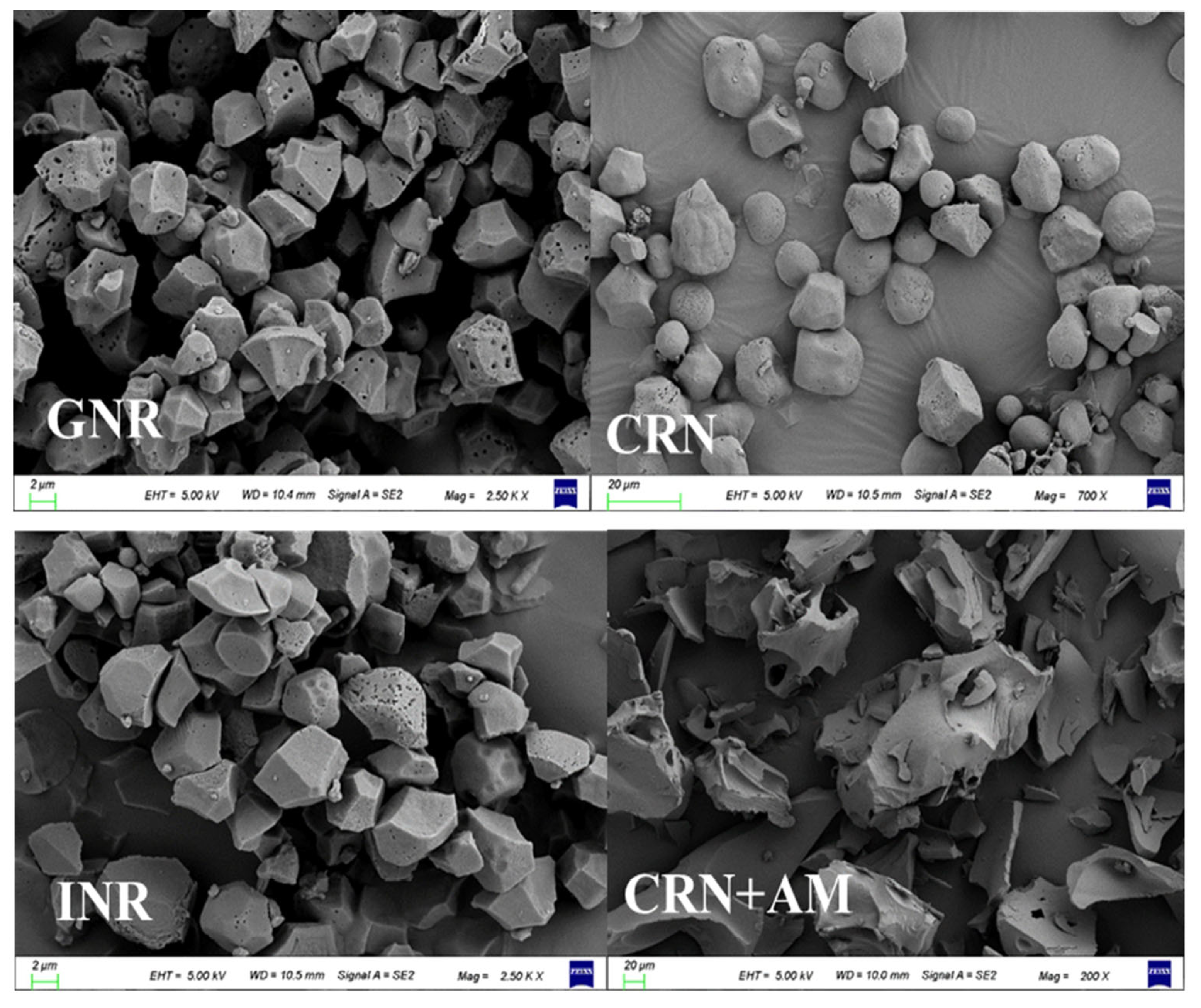 Vetsci 12 00630 g002