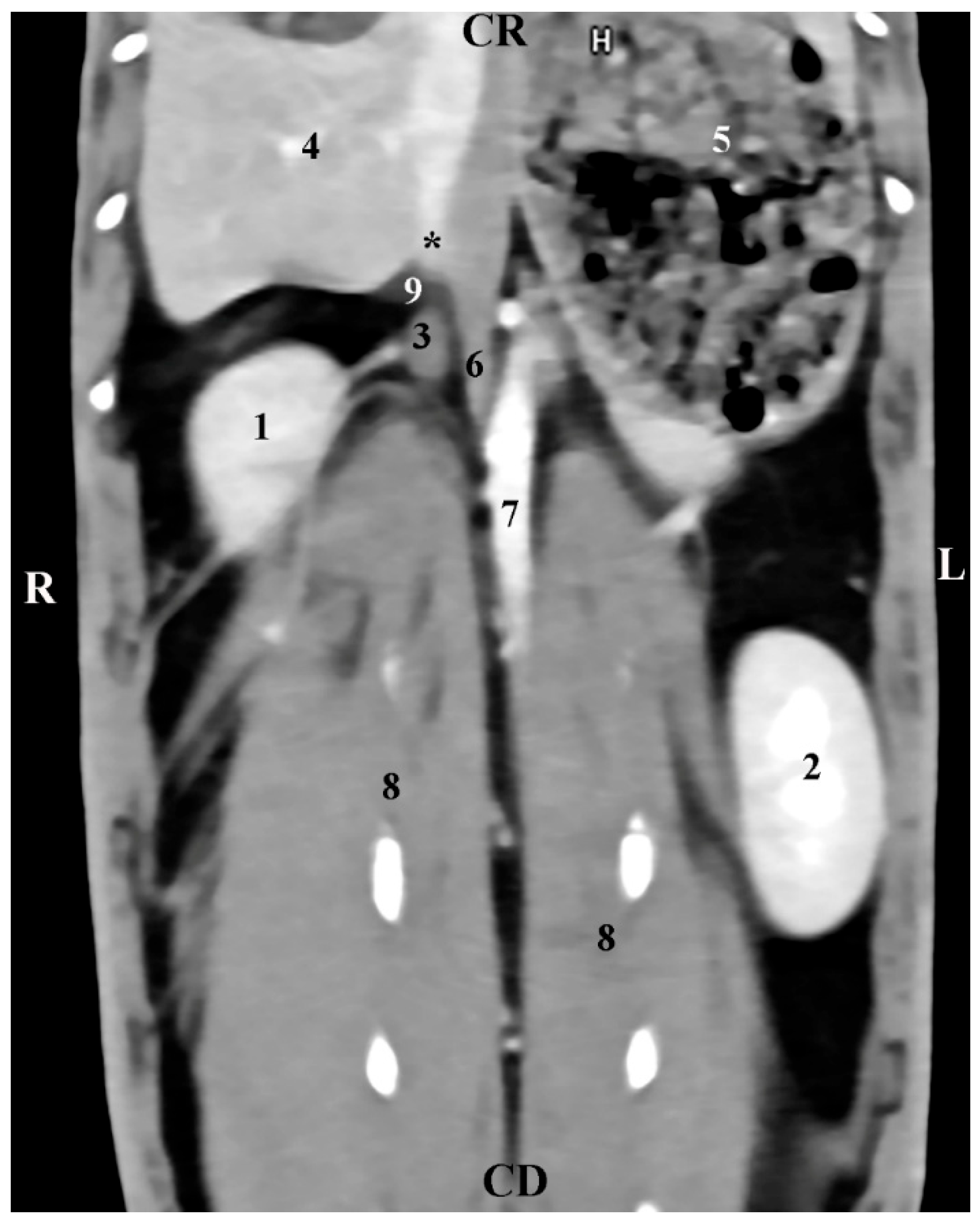 Vetsci 12 00632 g005