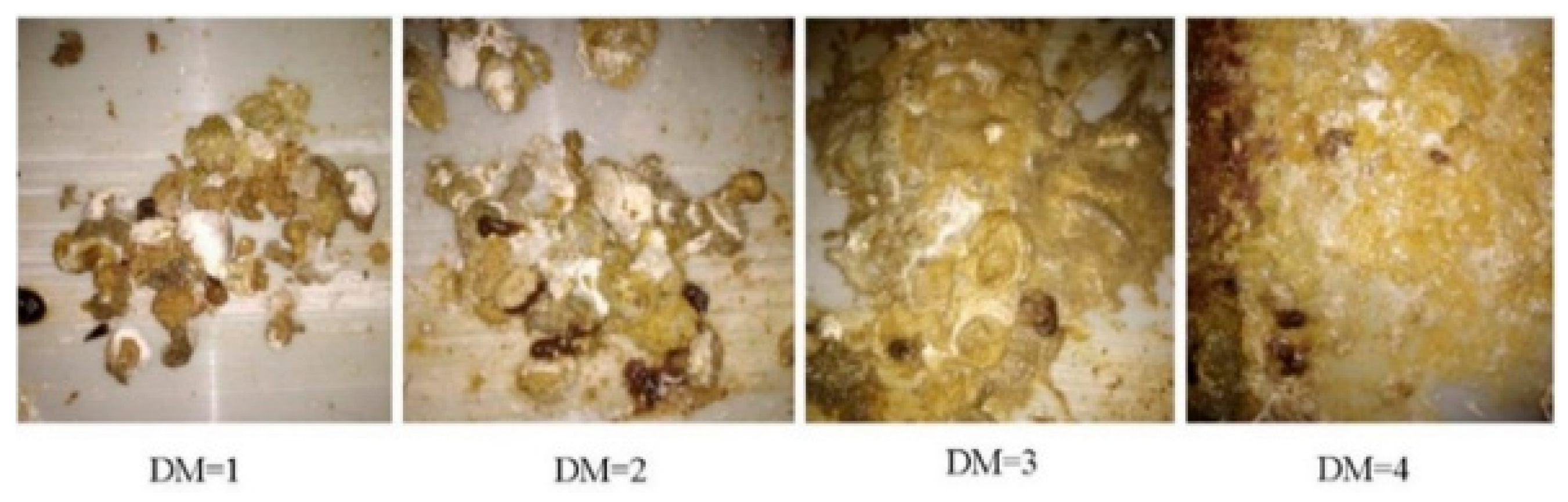 Vetsci 12 00633 g002