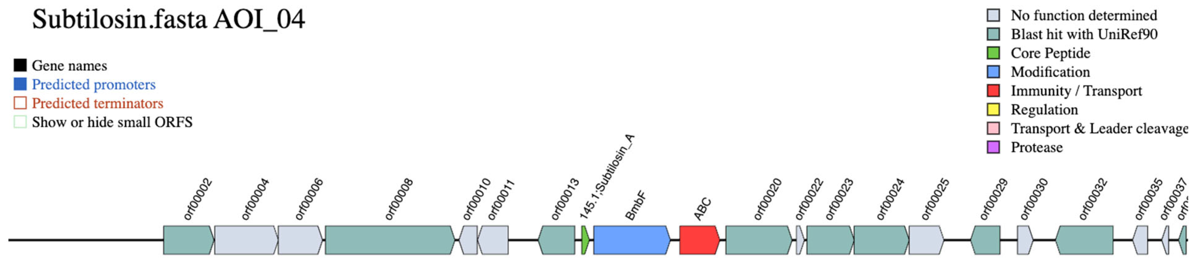 Vetsci 12 00635 g004