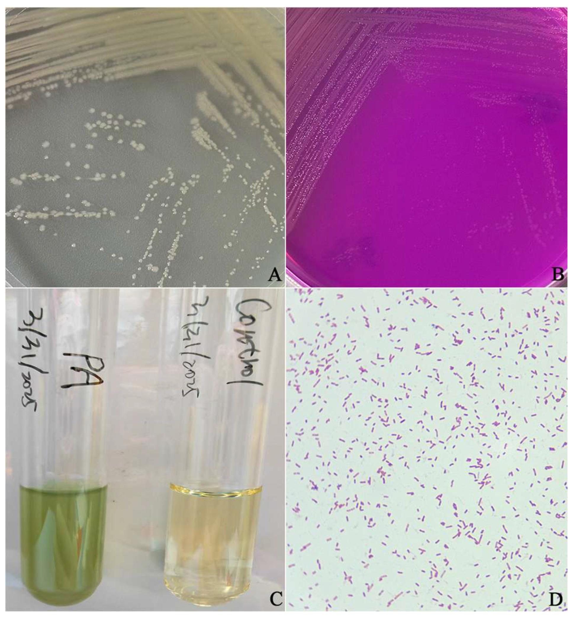 Vetsci 12 00636 g001