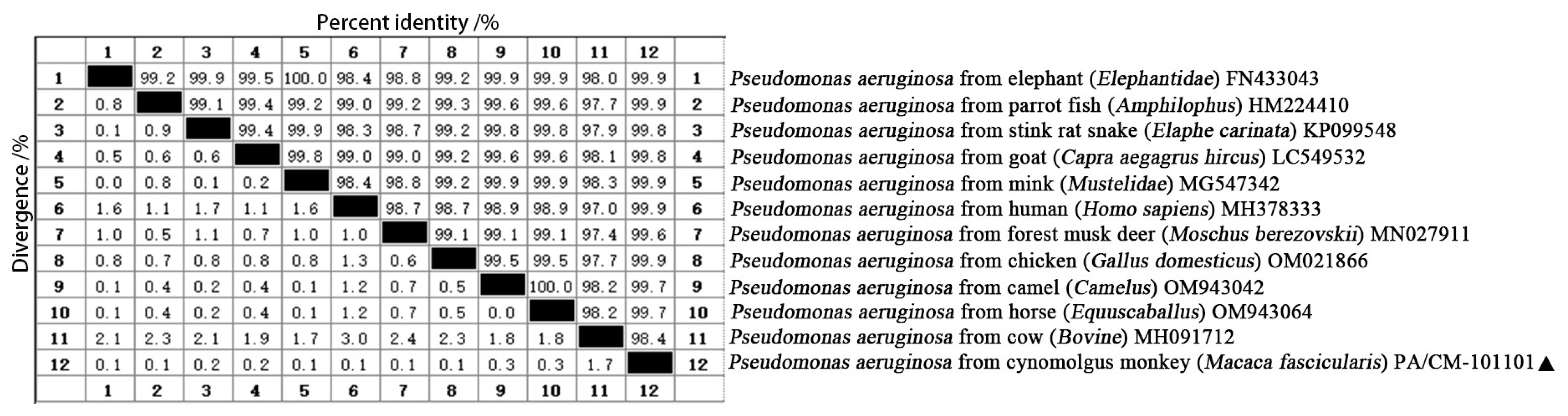 Vetsci 12 00636 g003