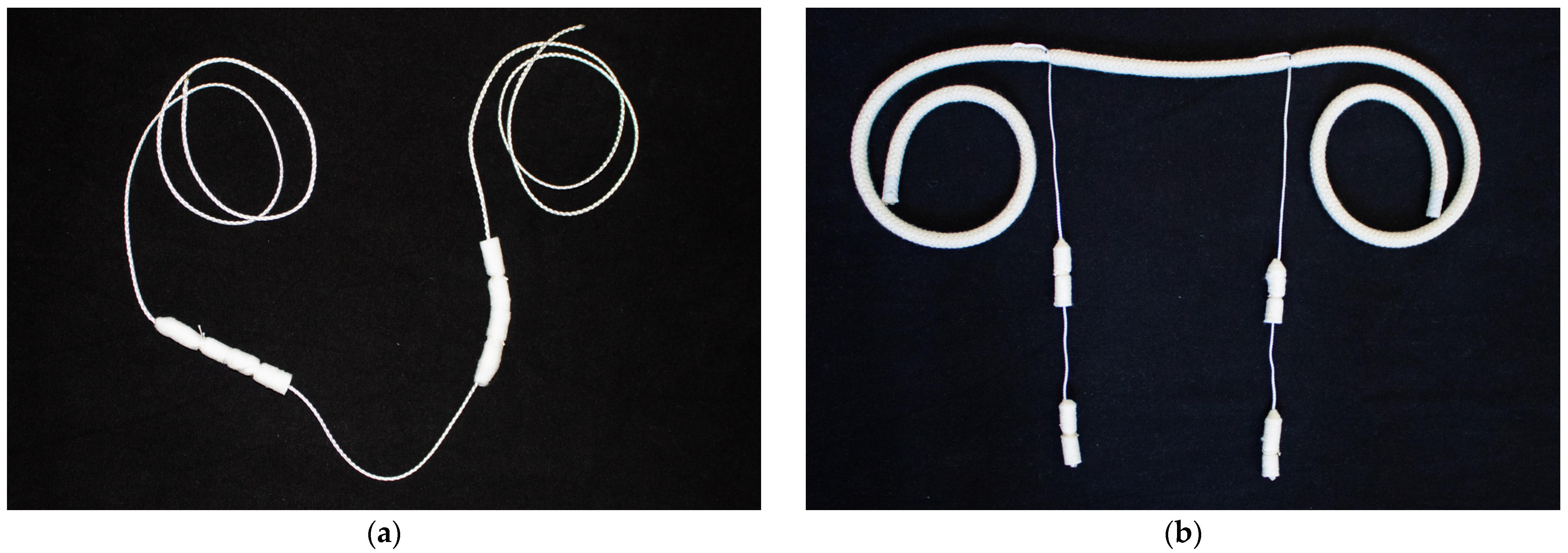 Vetsci 12 00637 g001