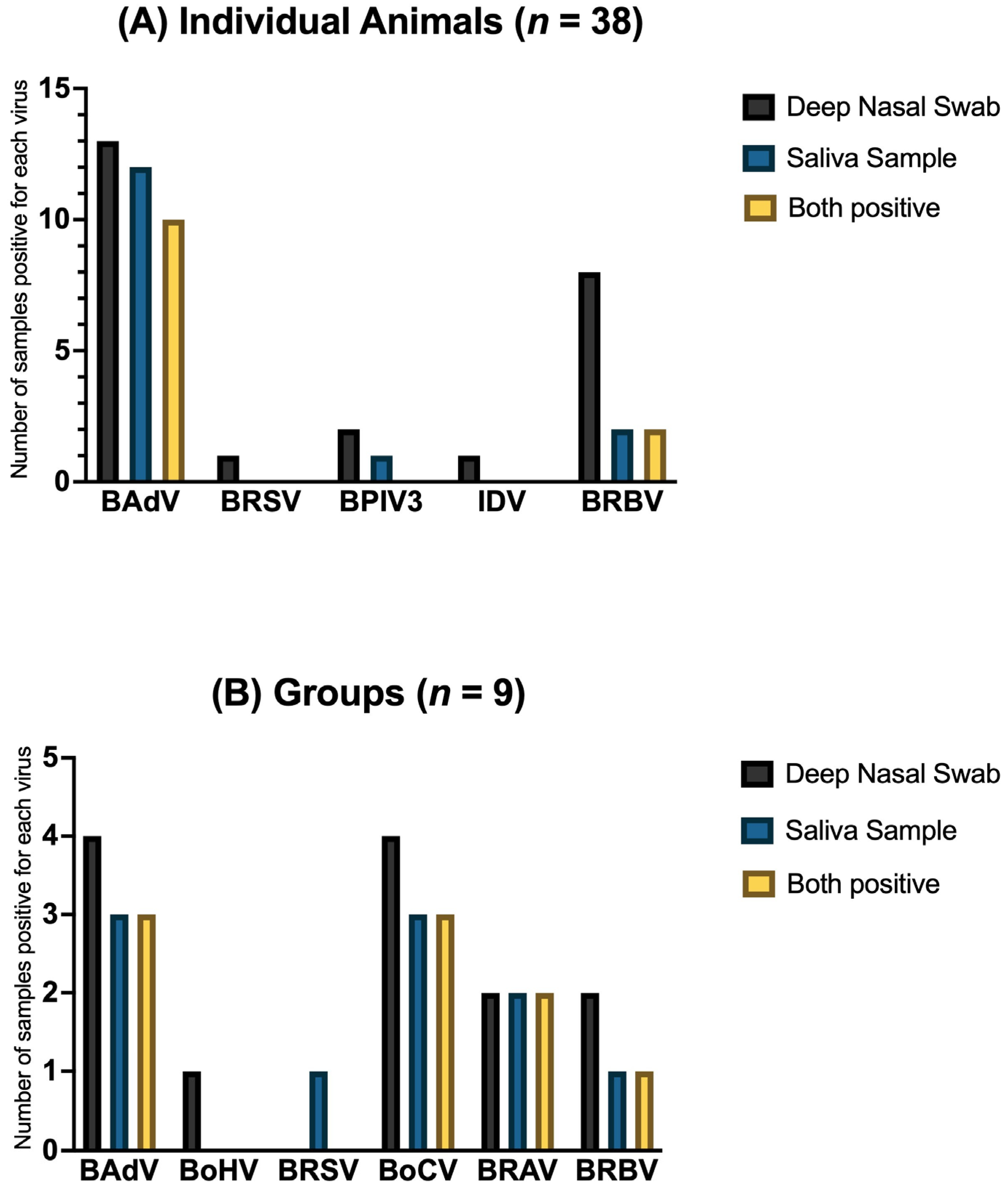 Vetsci 12 00637 g004