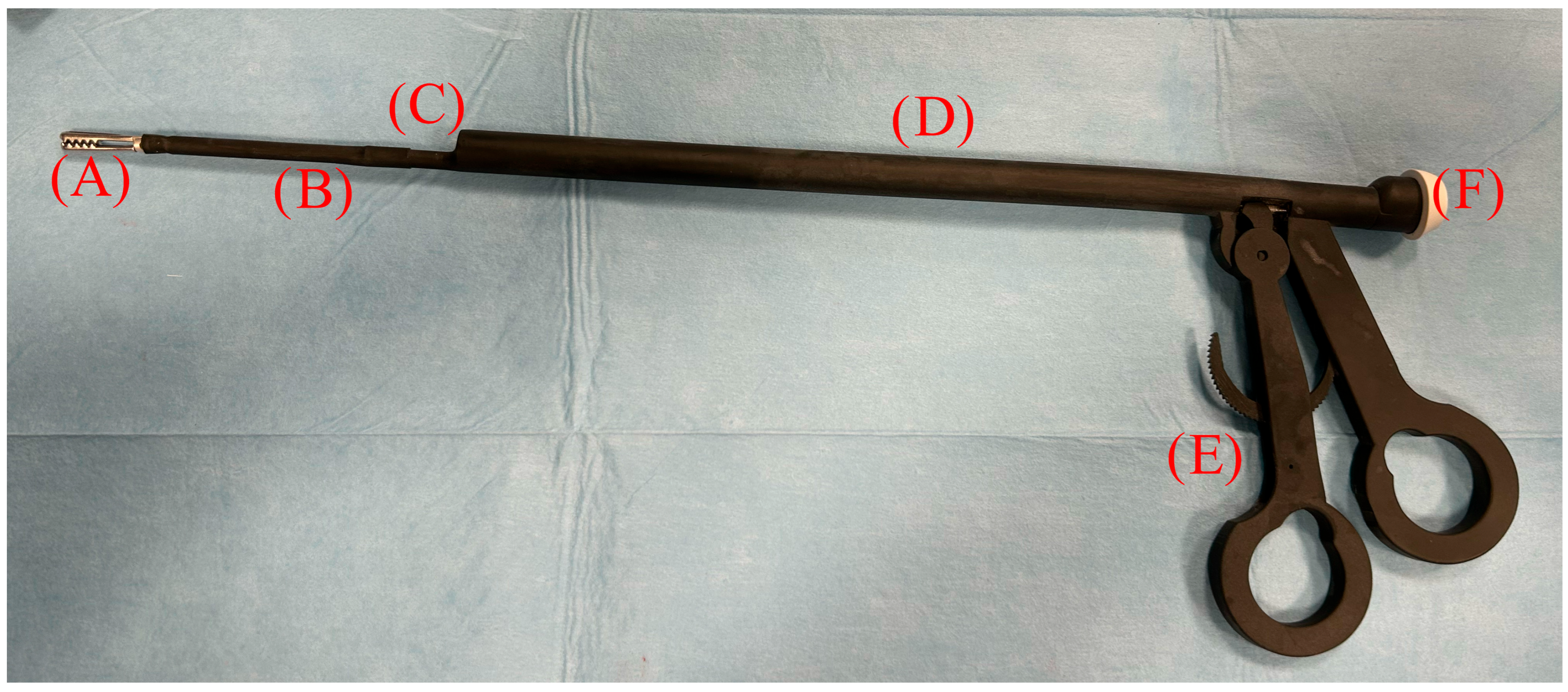 Vetsci 12 00639 g001