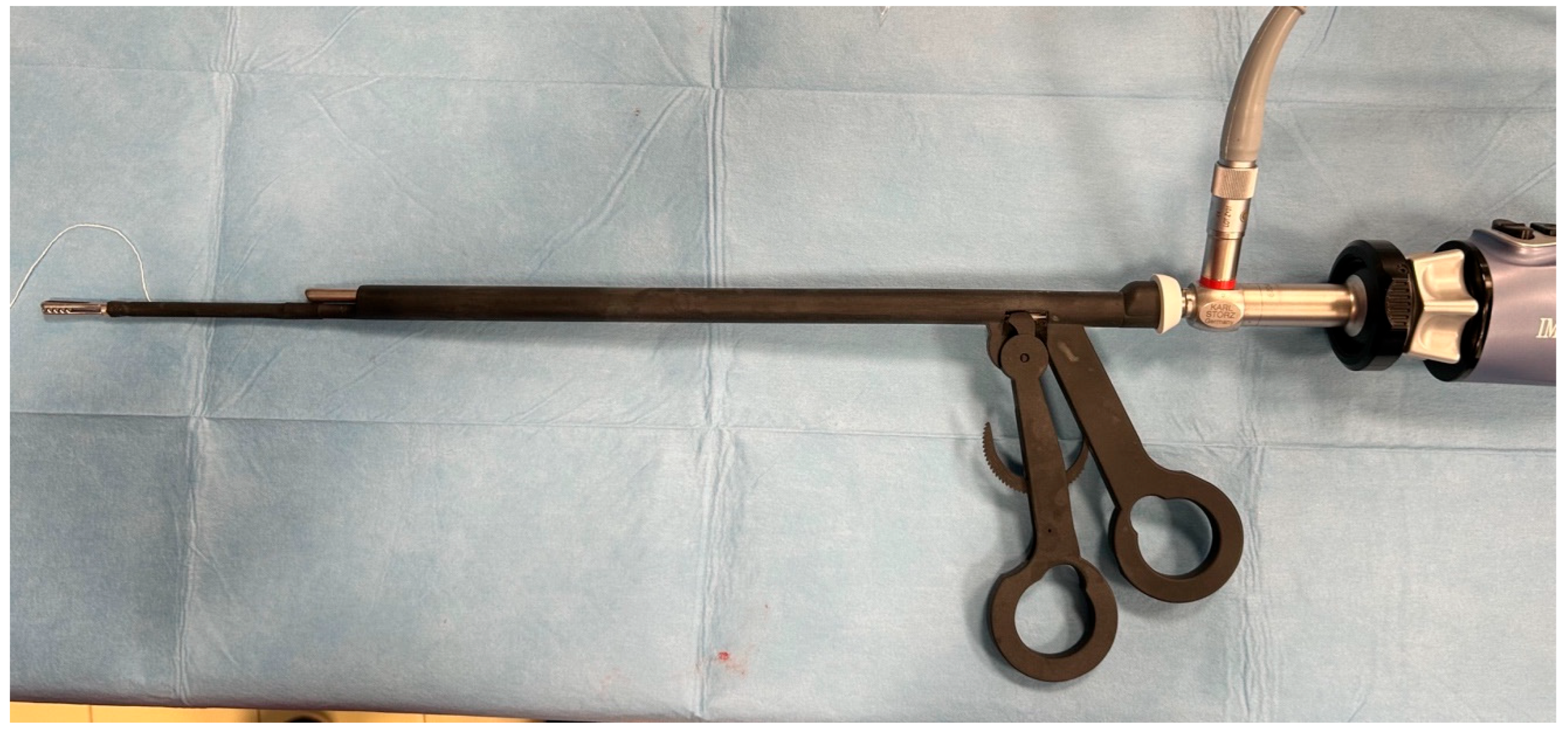 Vetsci 12 00639 g002