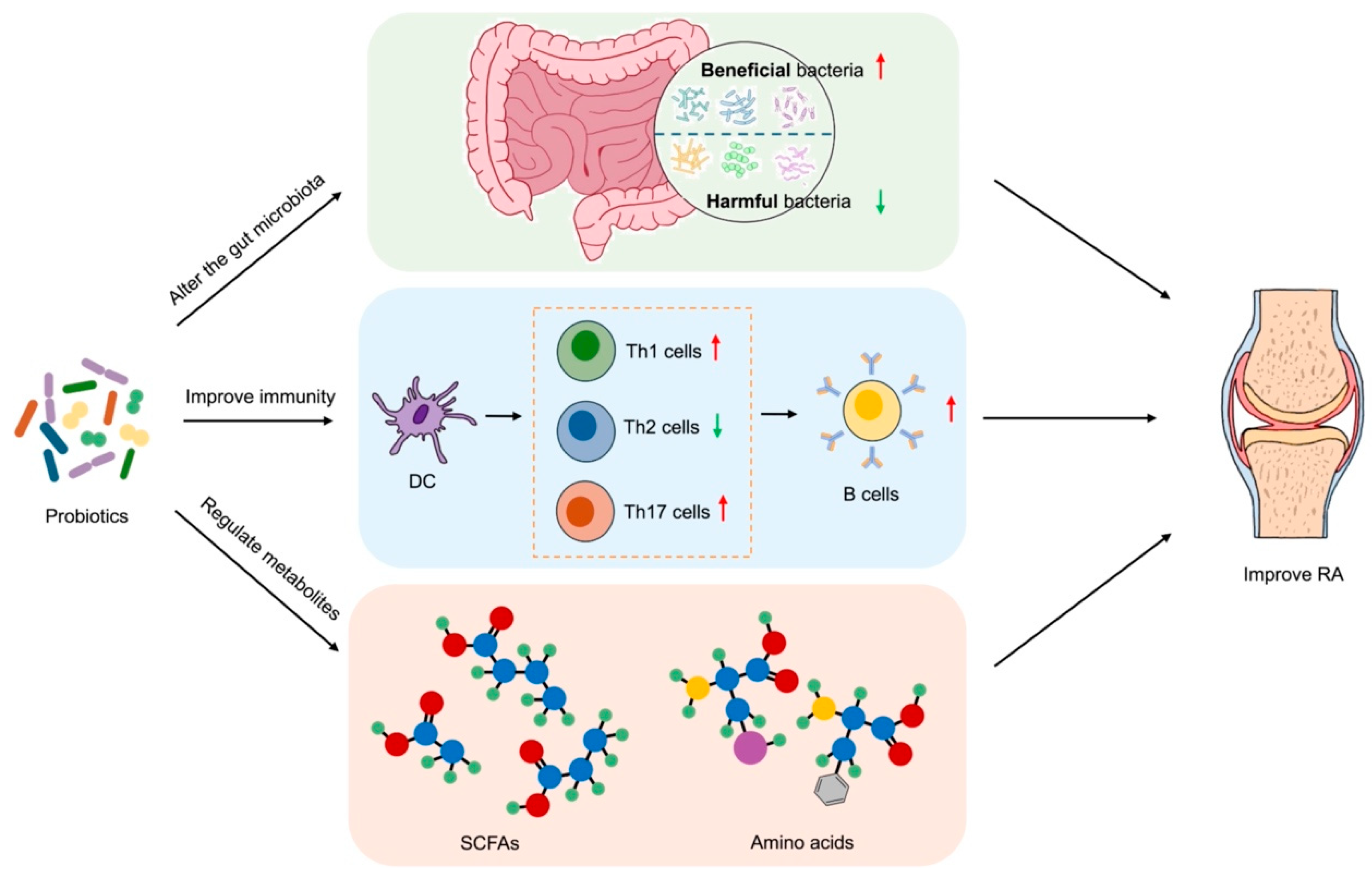 Vetsci 12 00642 g001