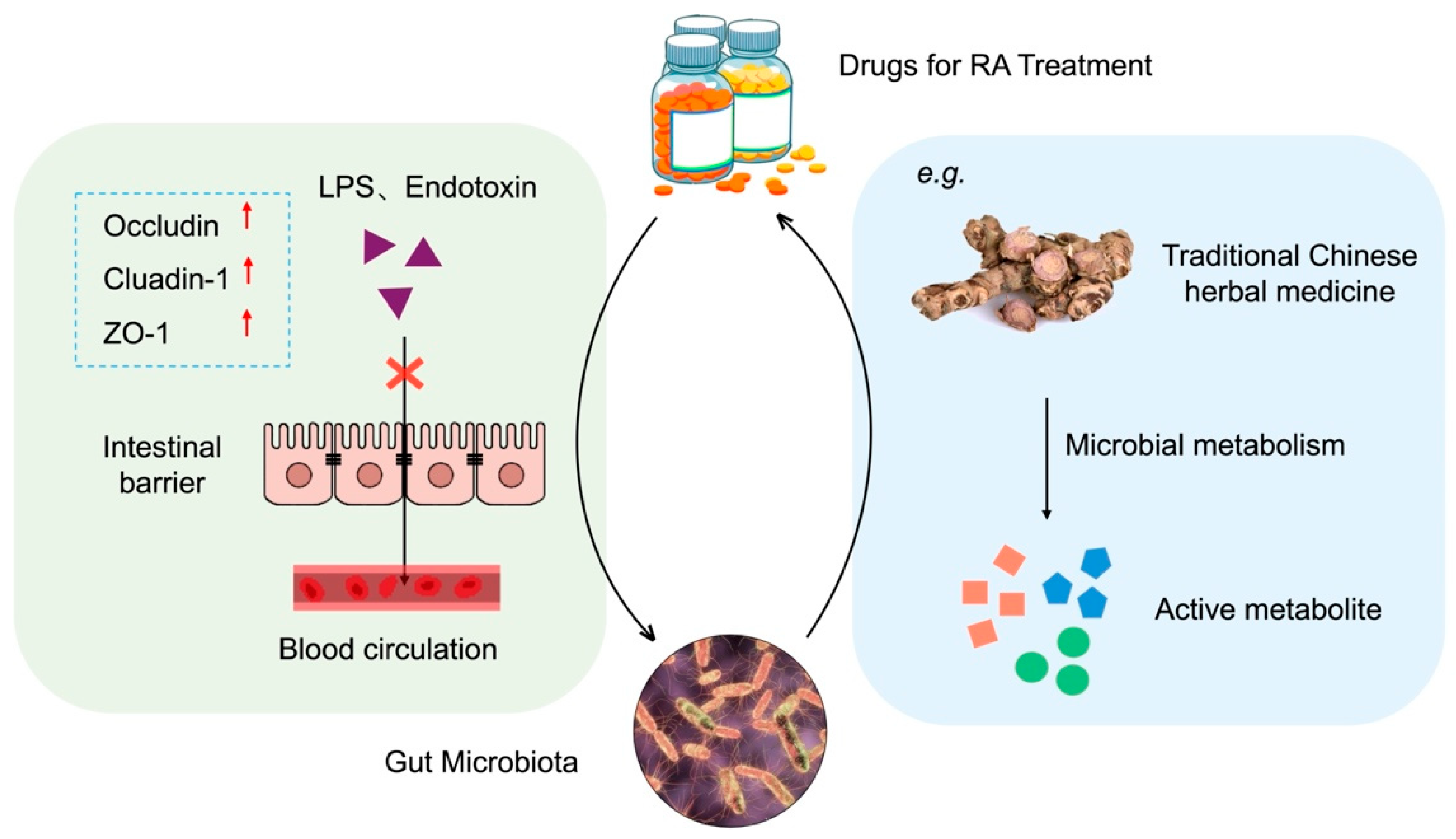 Vetsci 12 00642 g002
