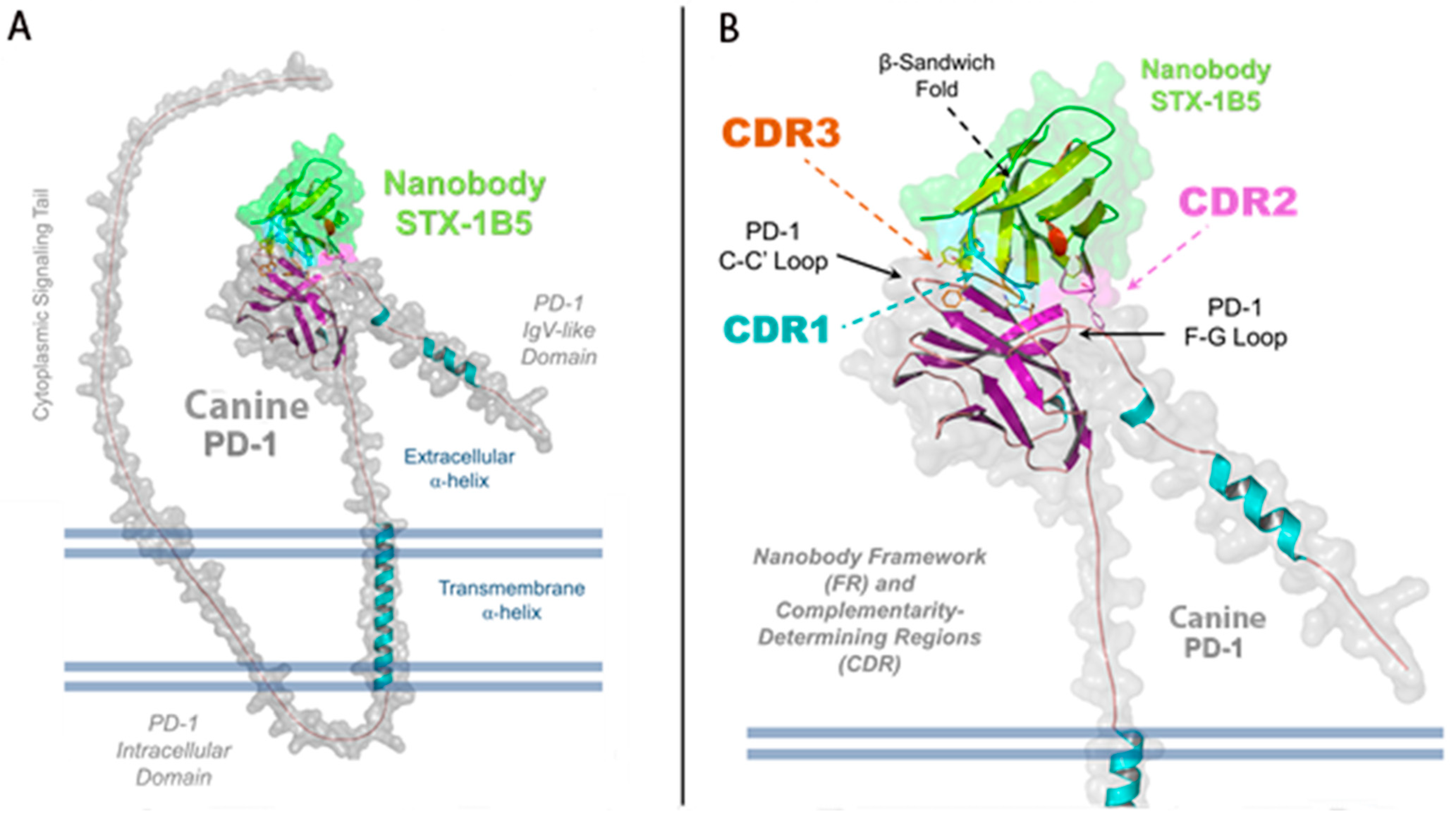 Vetsci 12 00649 g003