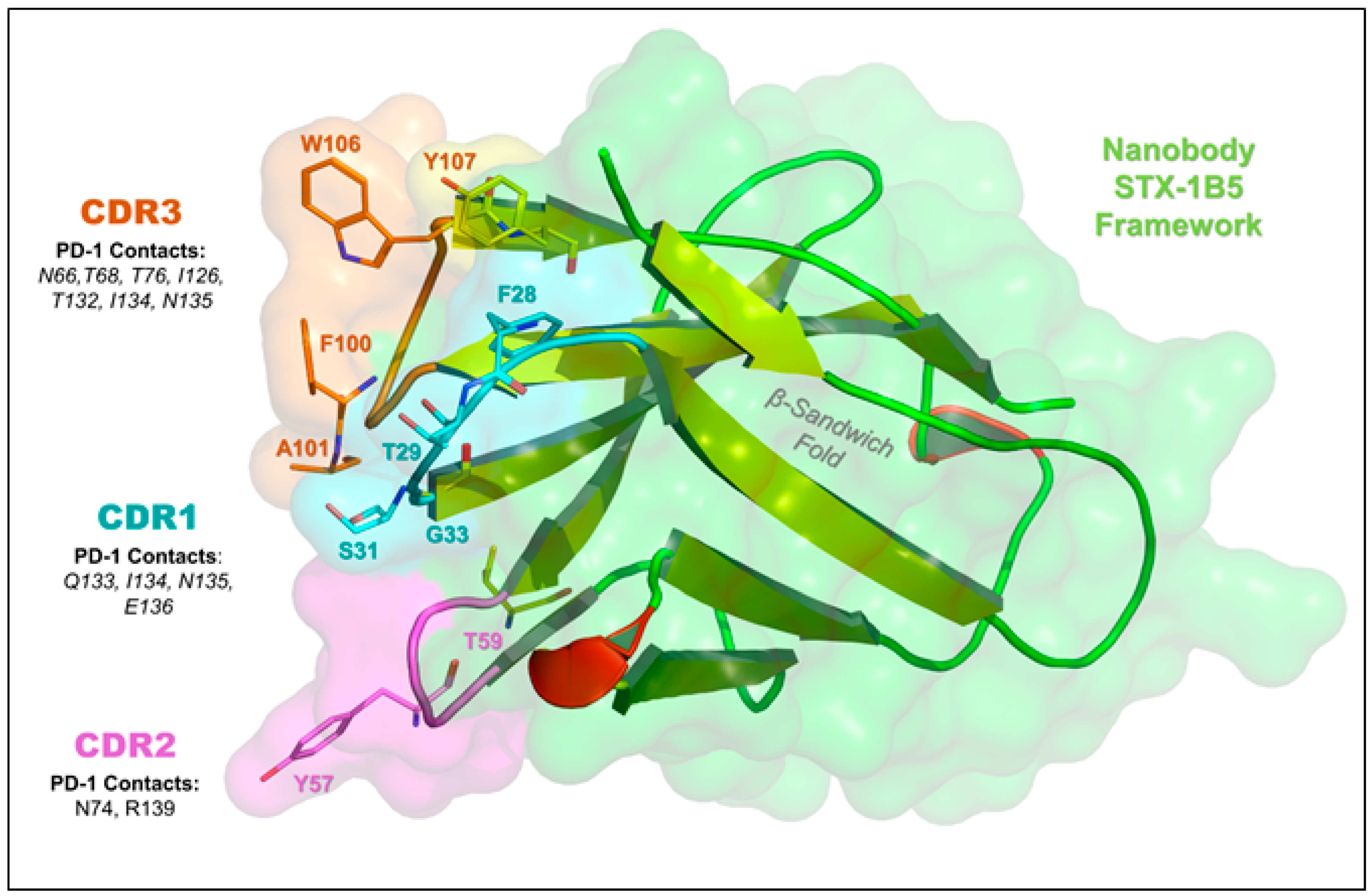 Vetsci 12 00649 g004