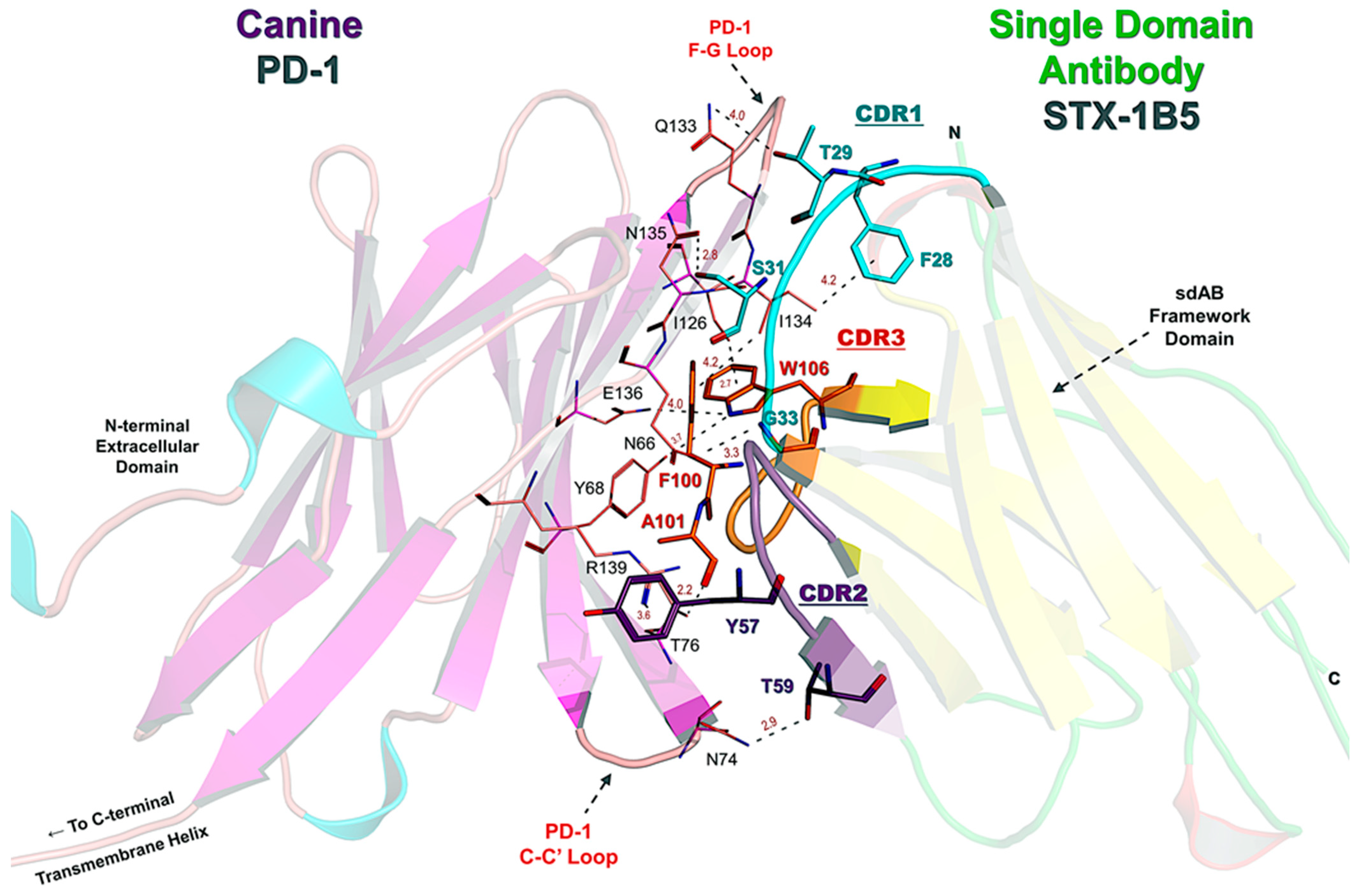 Vetsci 12 00649 g005