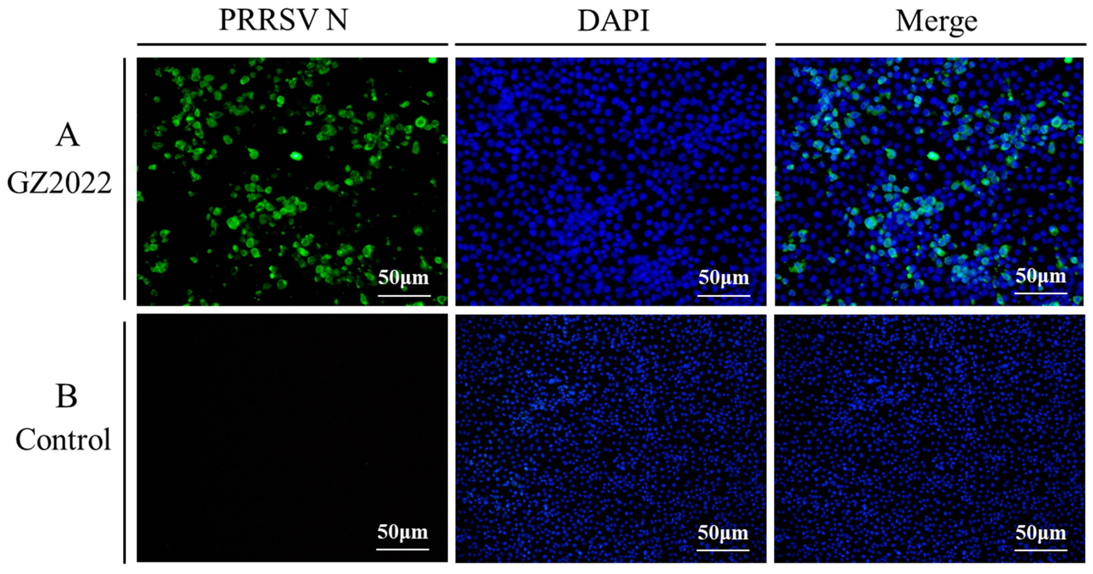 Vetsci 12 00651 g003