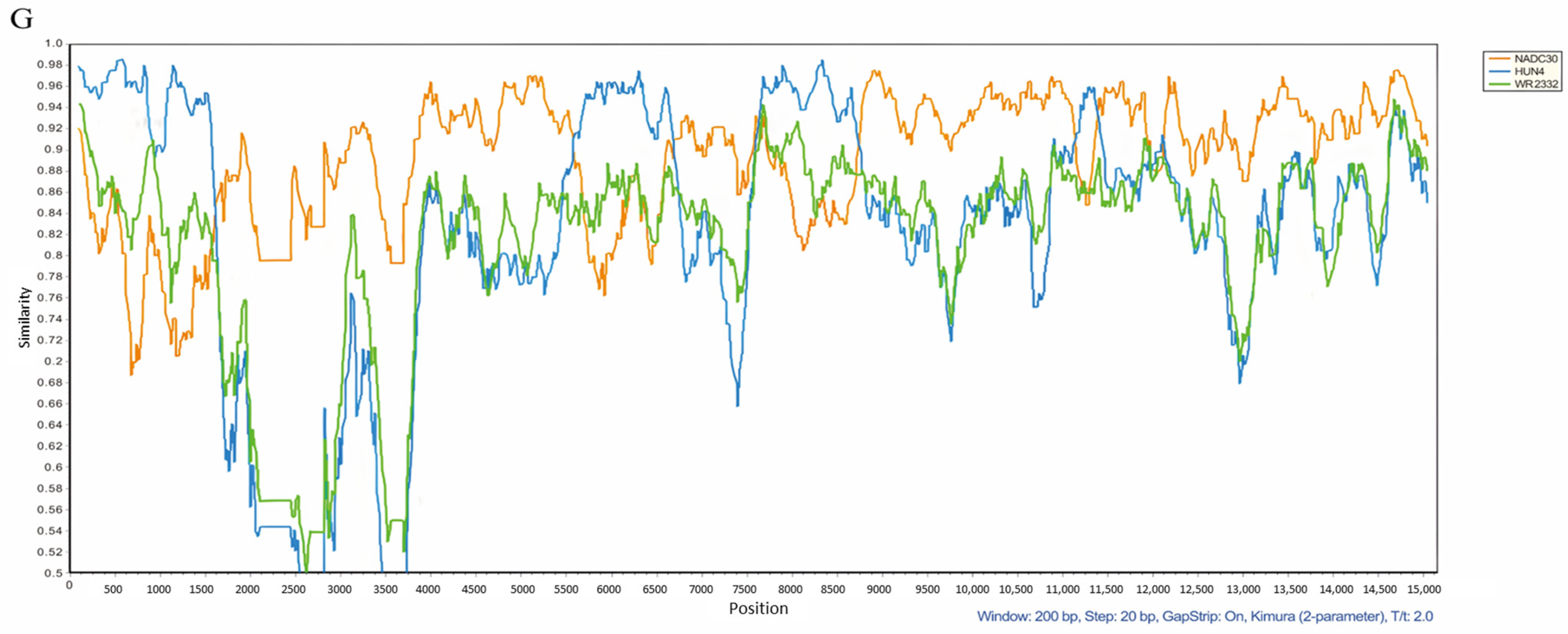 Vetsci 12 00651 g004c