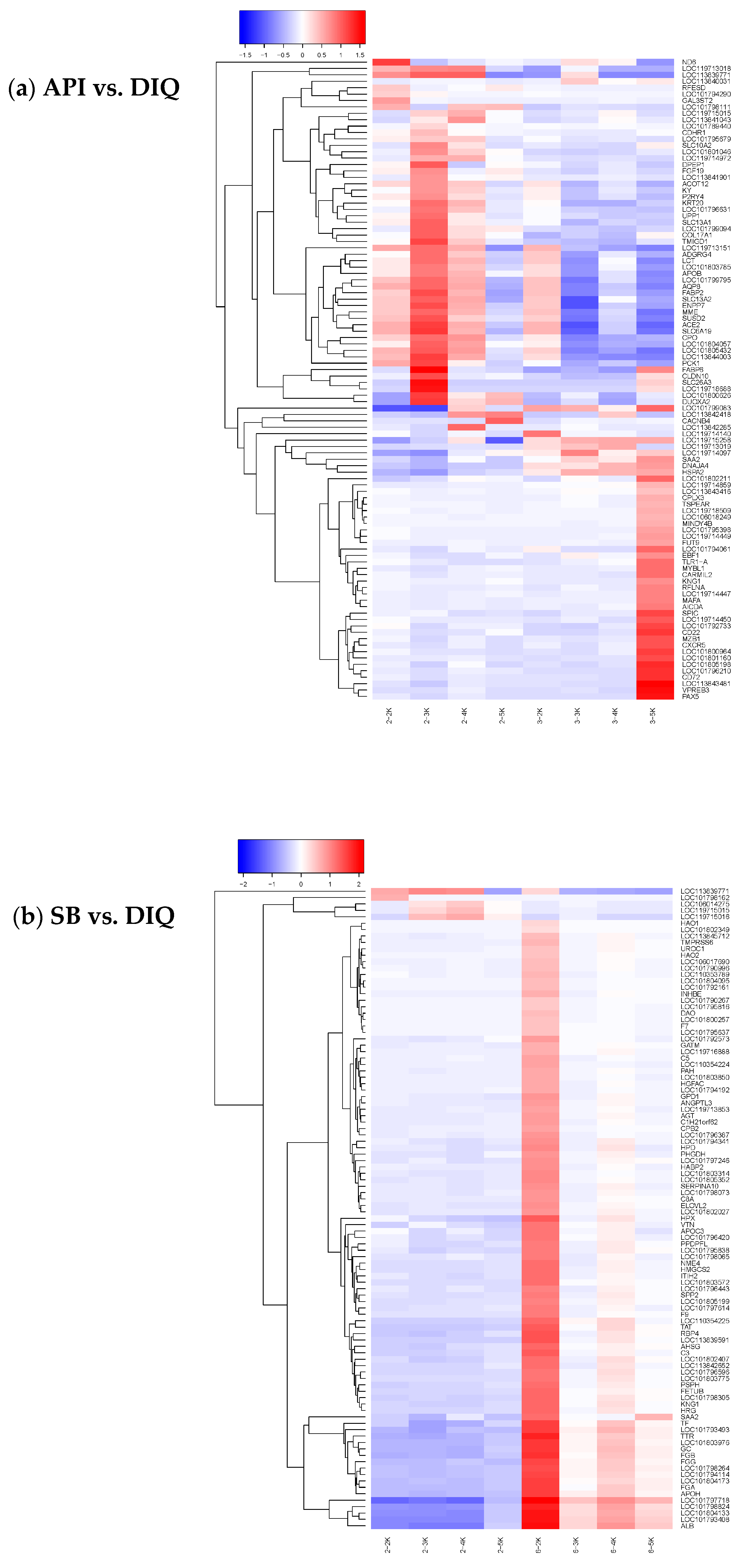 Vetsci 12 00655 g004