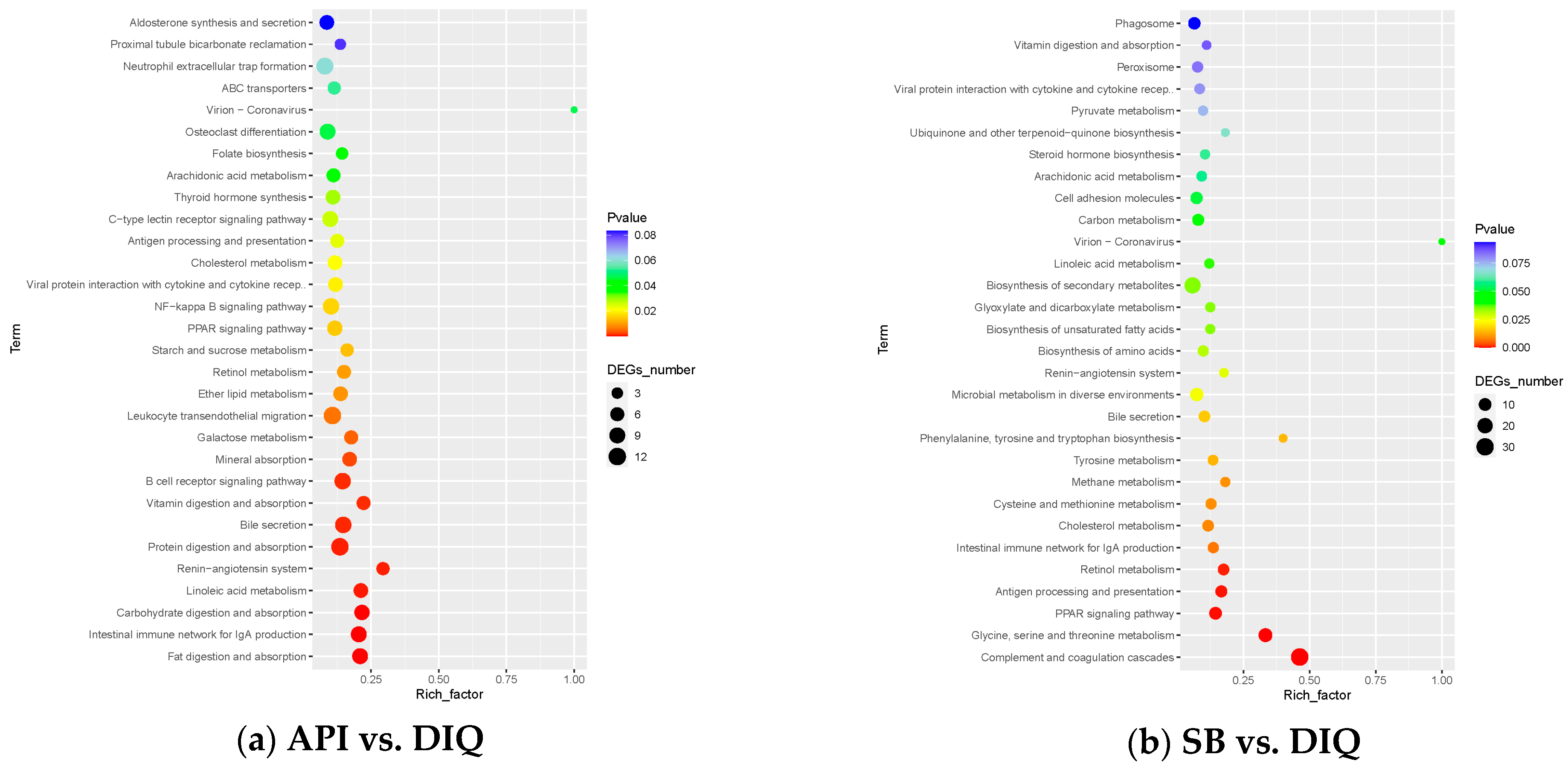 Vetsci 12 00655 g006