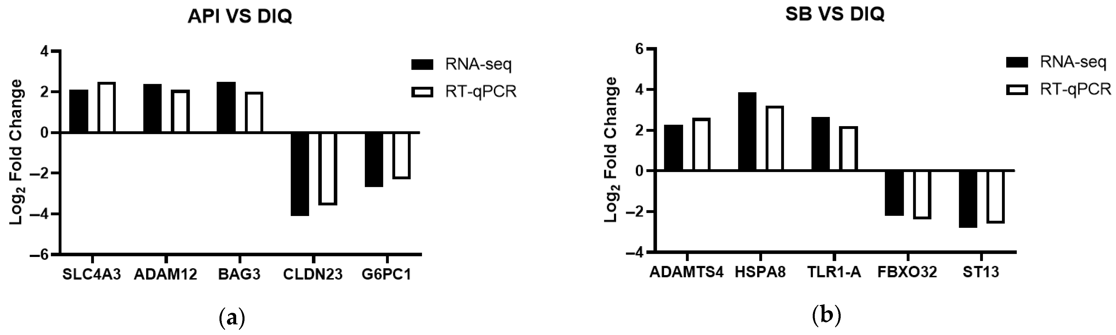Vetsci 12 00655 g007
