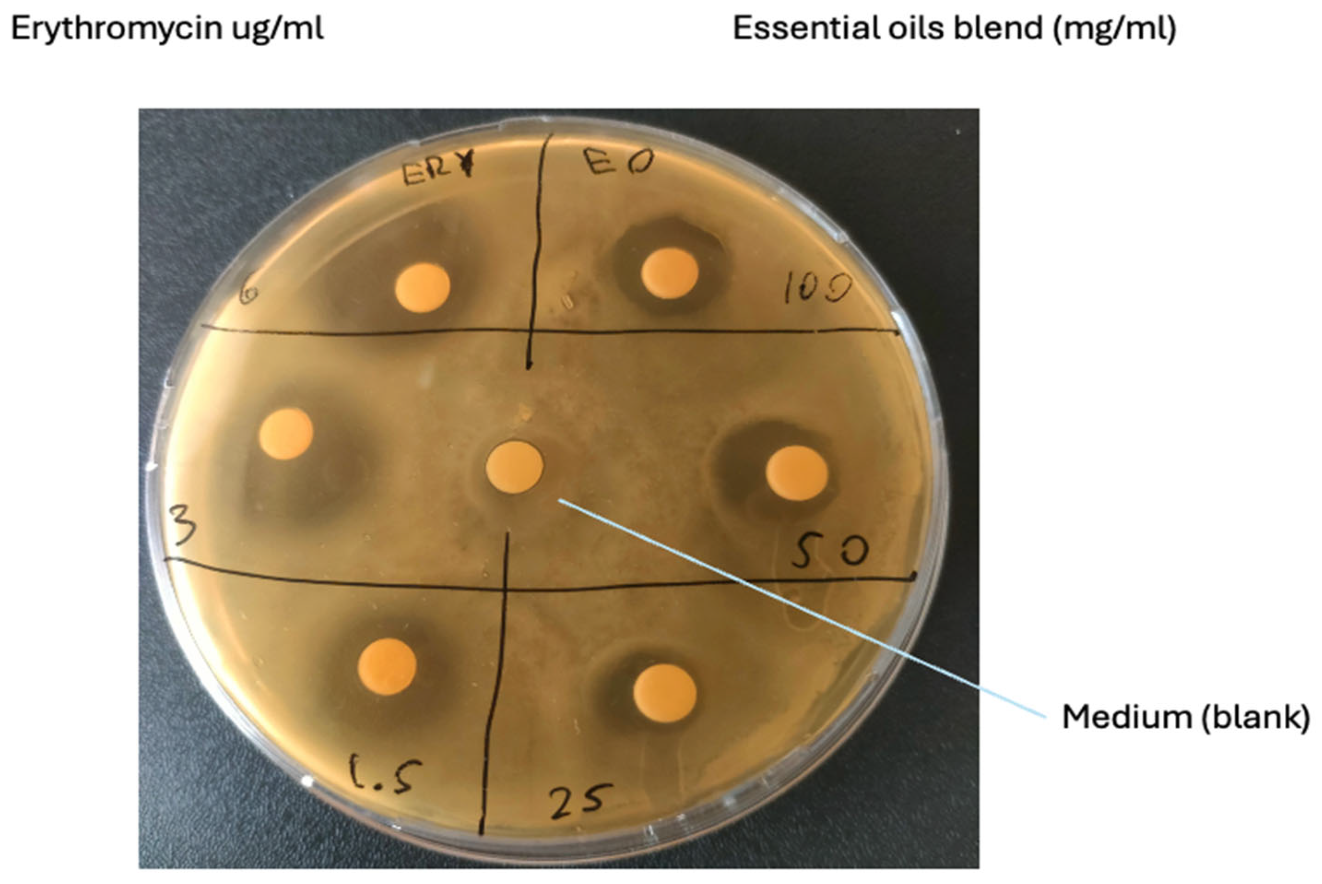 Vetsci 12 00659 g001