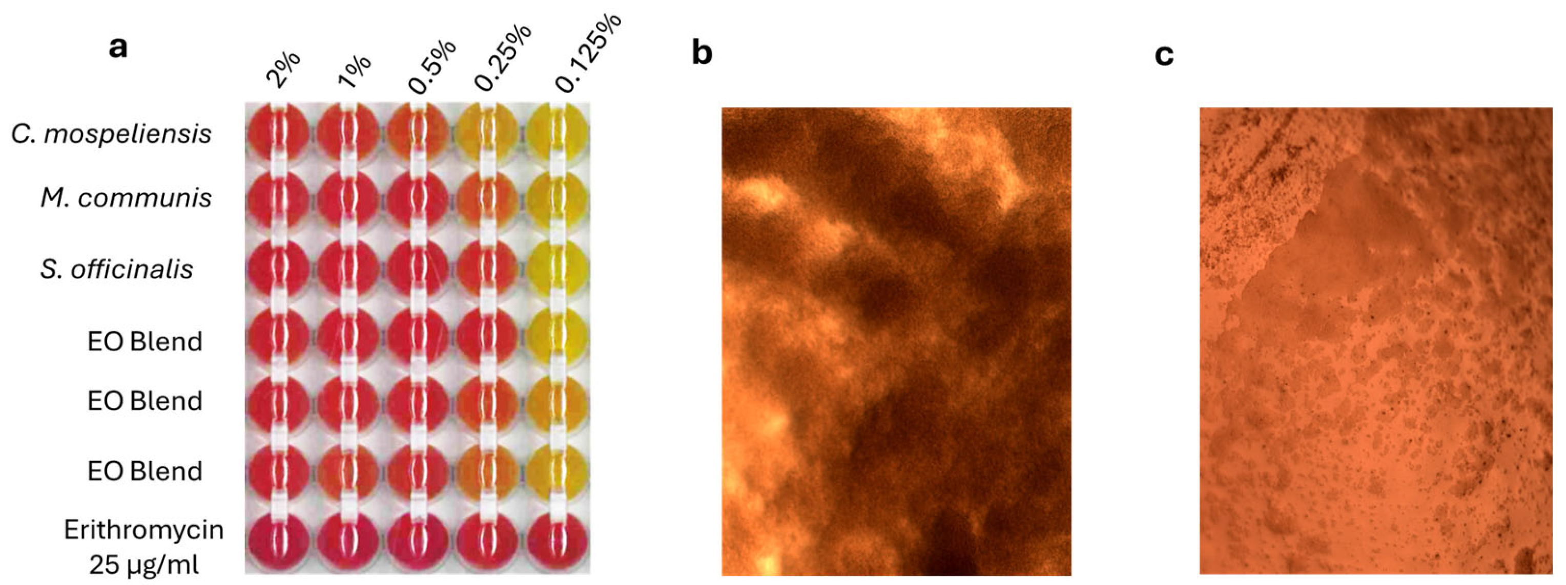 Vetsci 12 00659 g002
