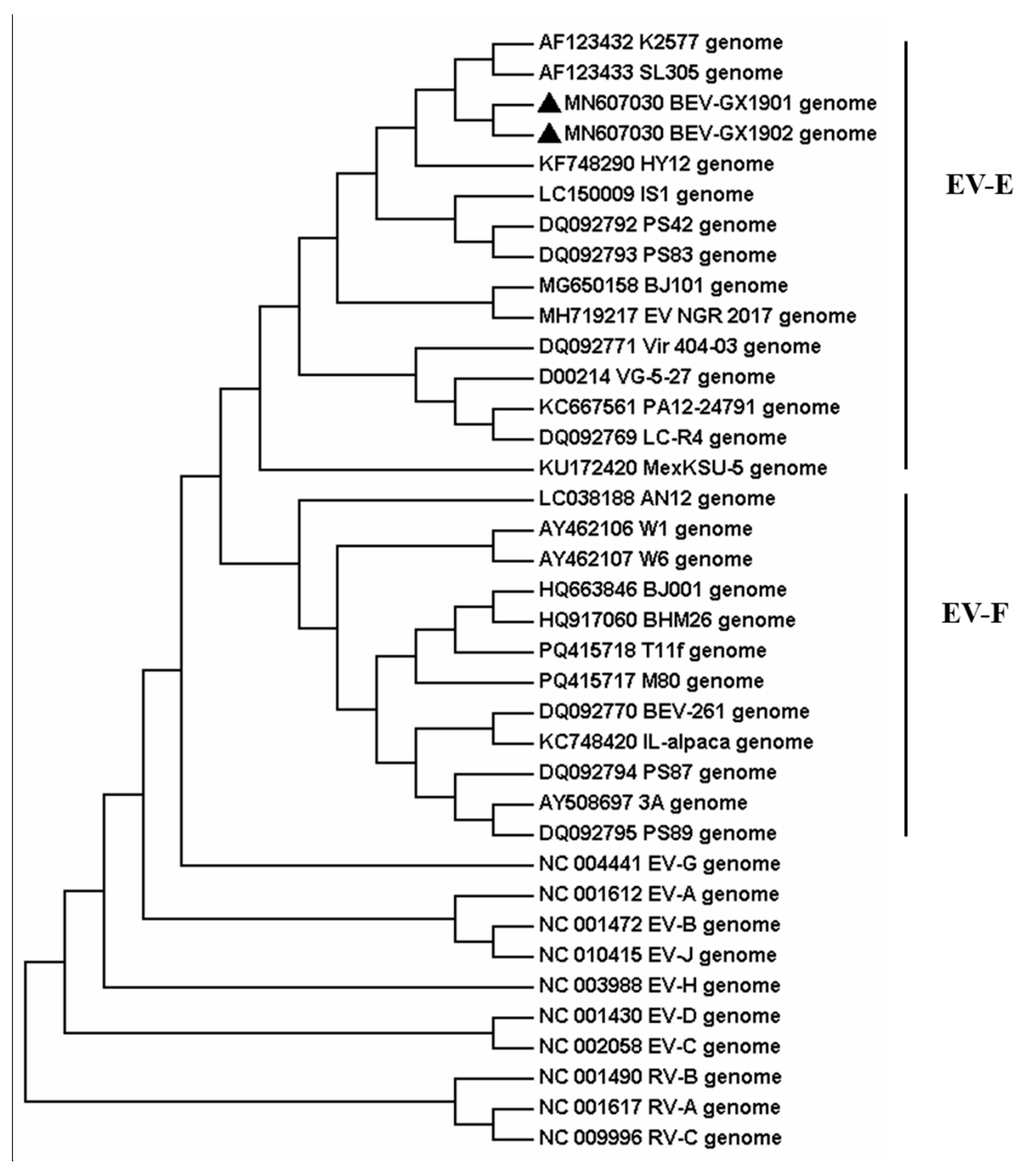 Vetsci 12 00660 g002