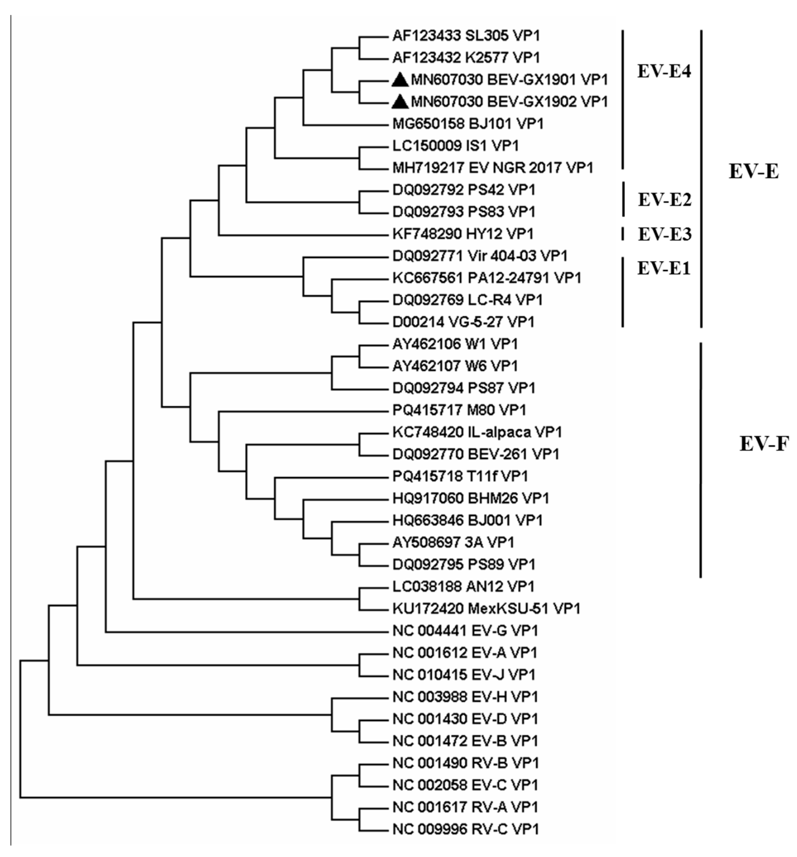 Vetsci 12 00660 g003