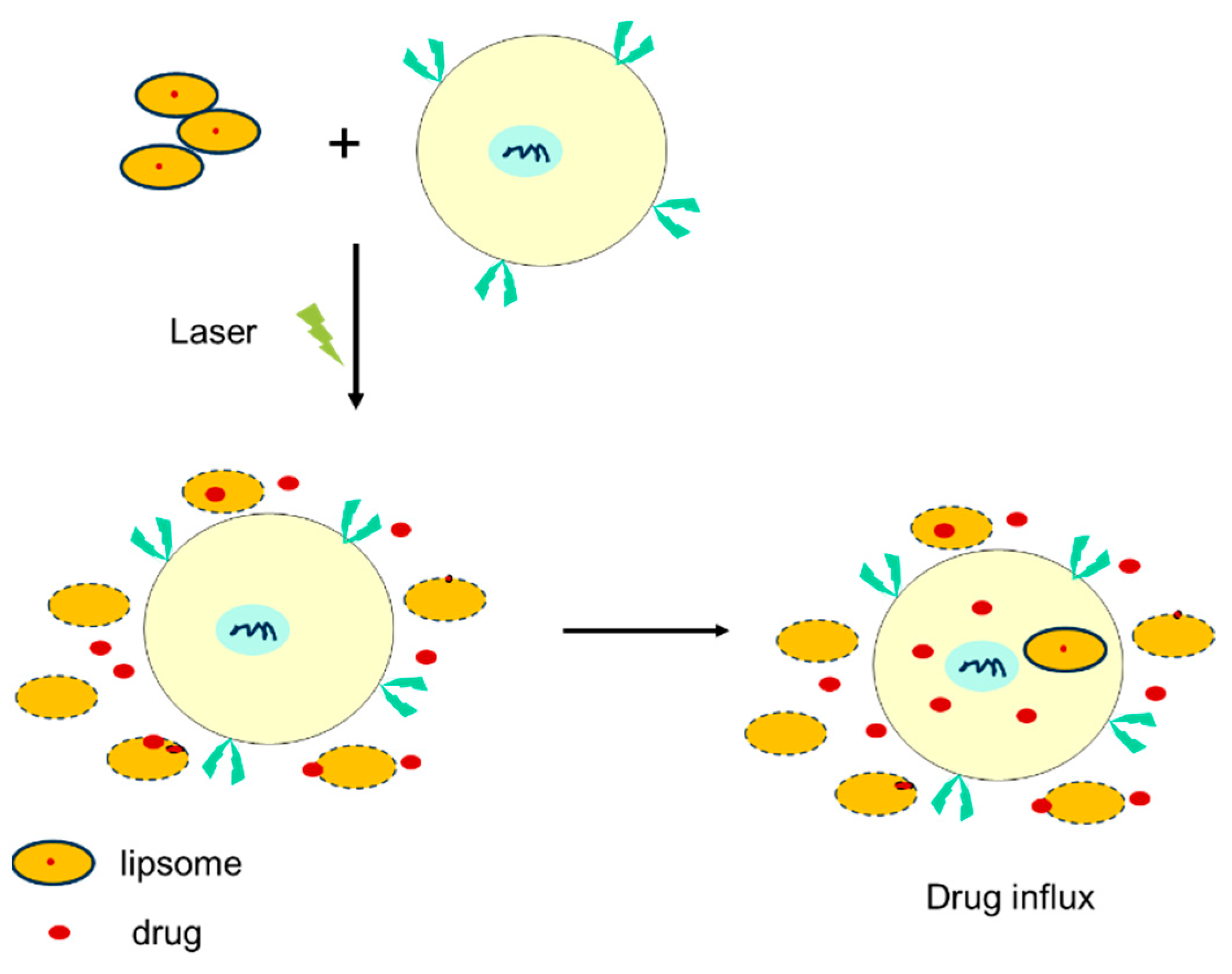 Vetsci 12 00662 g001