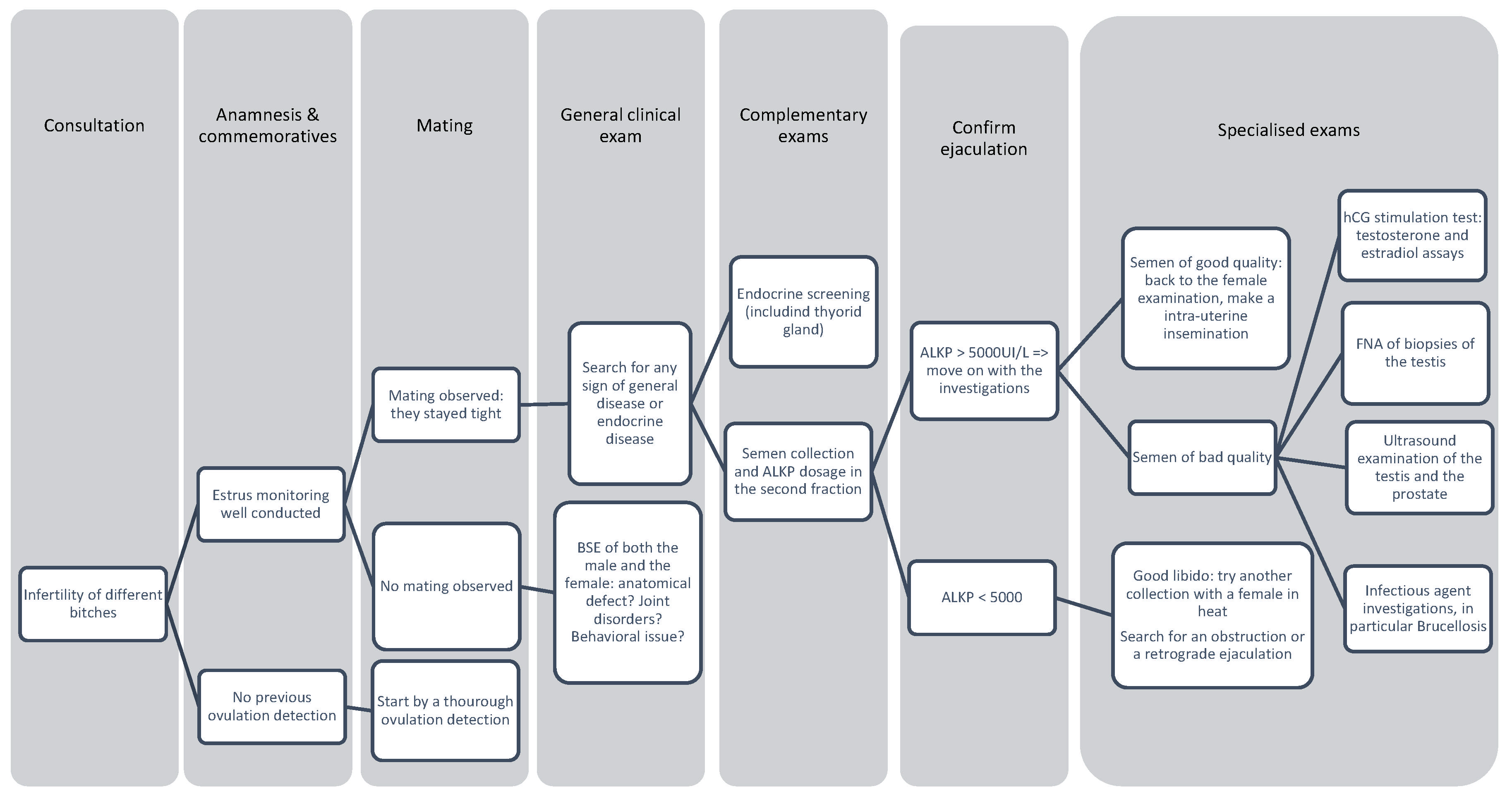 Vetsci 12 00663 g005
