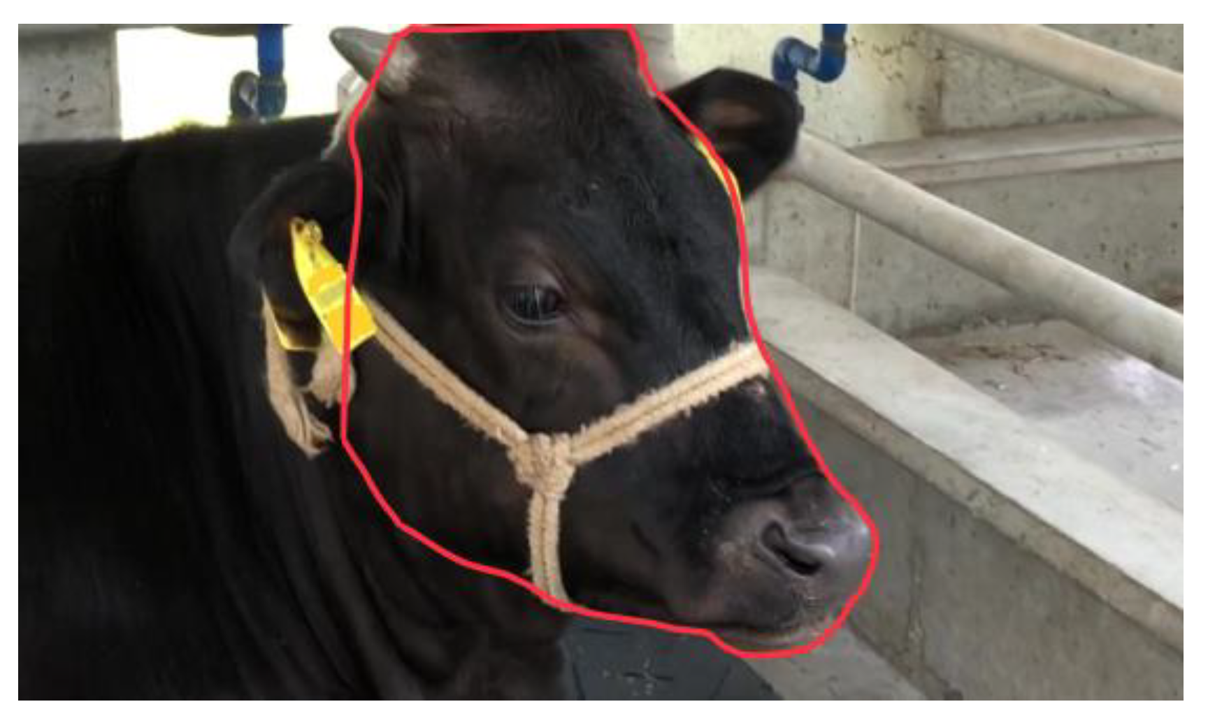 Vetsci 12 00664 g003