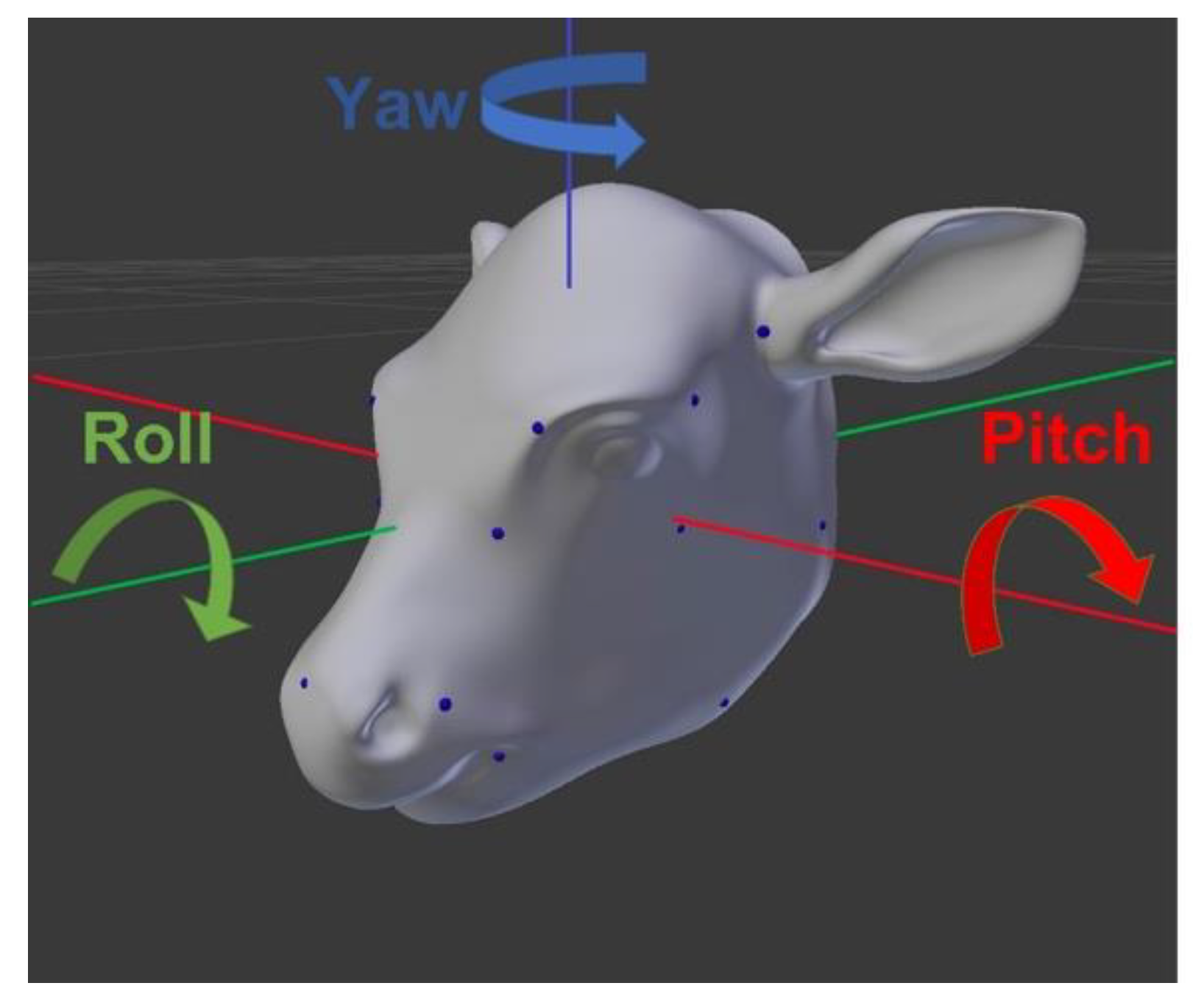 Vetsci 12 00664 g004