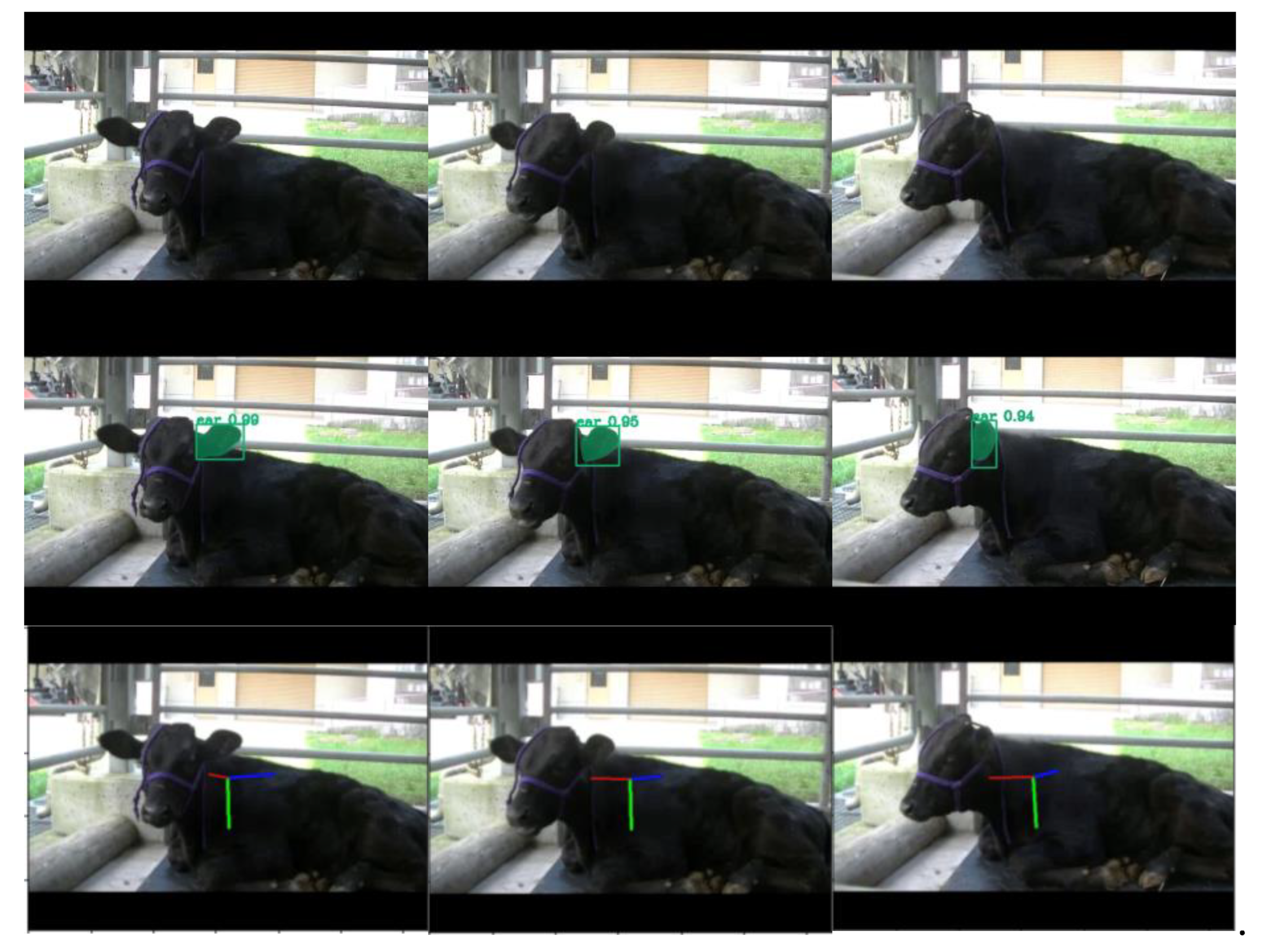 Vetsci 12 00664 g009