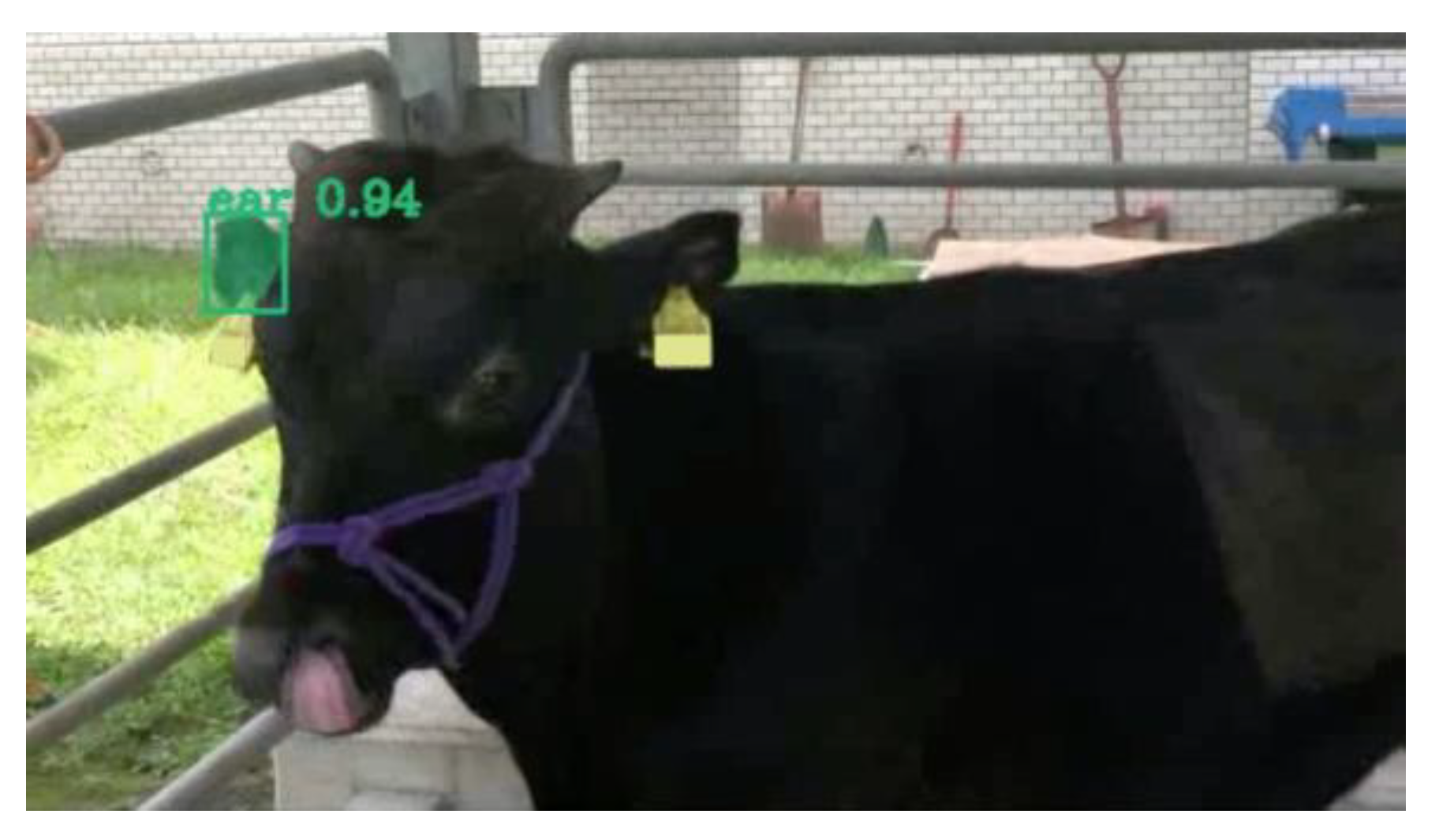 Vetsci 12 00664 g010