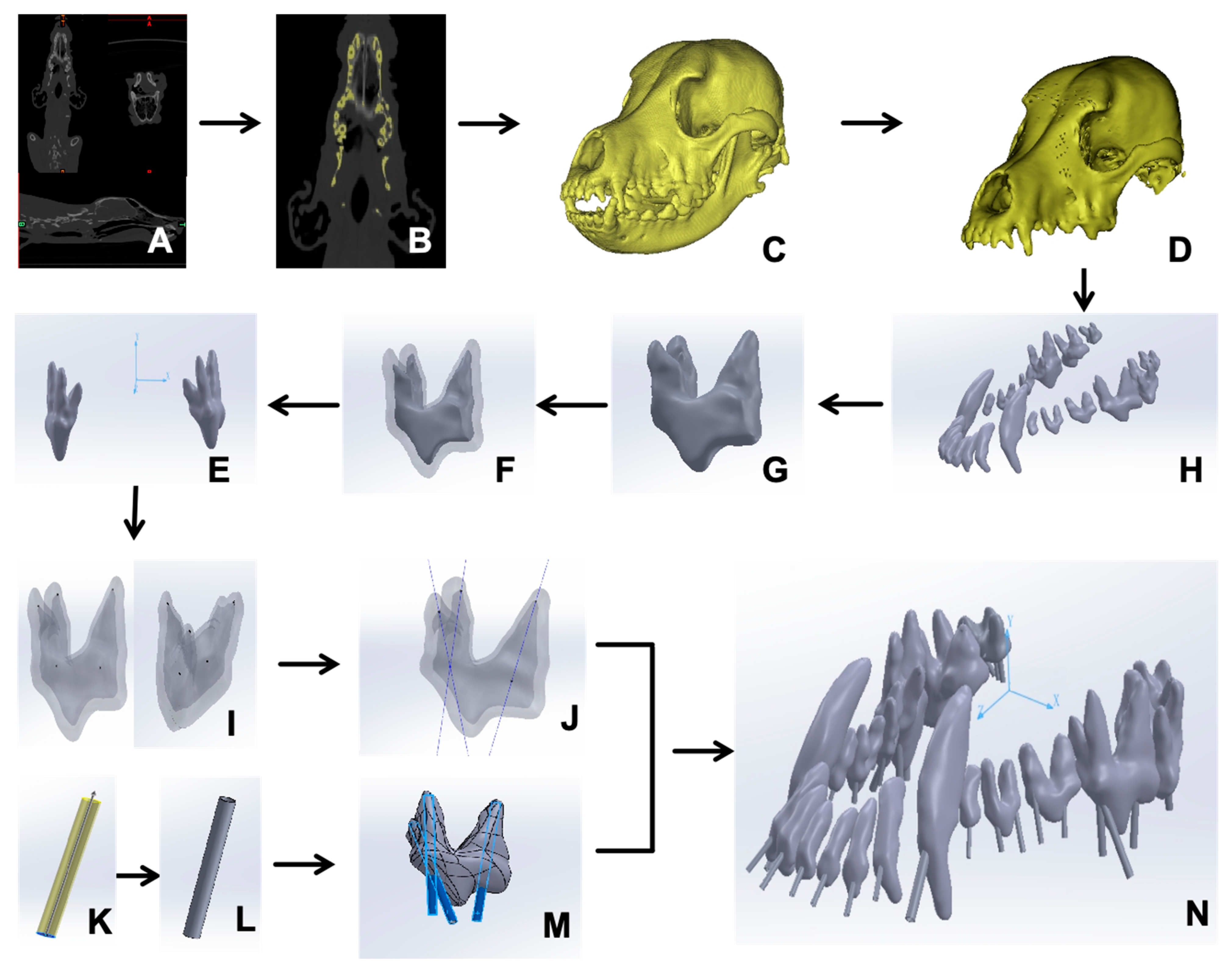 Vetsci 12 00665 g001