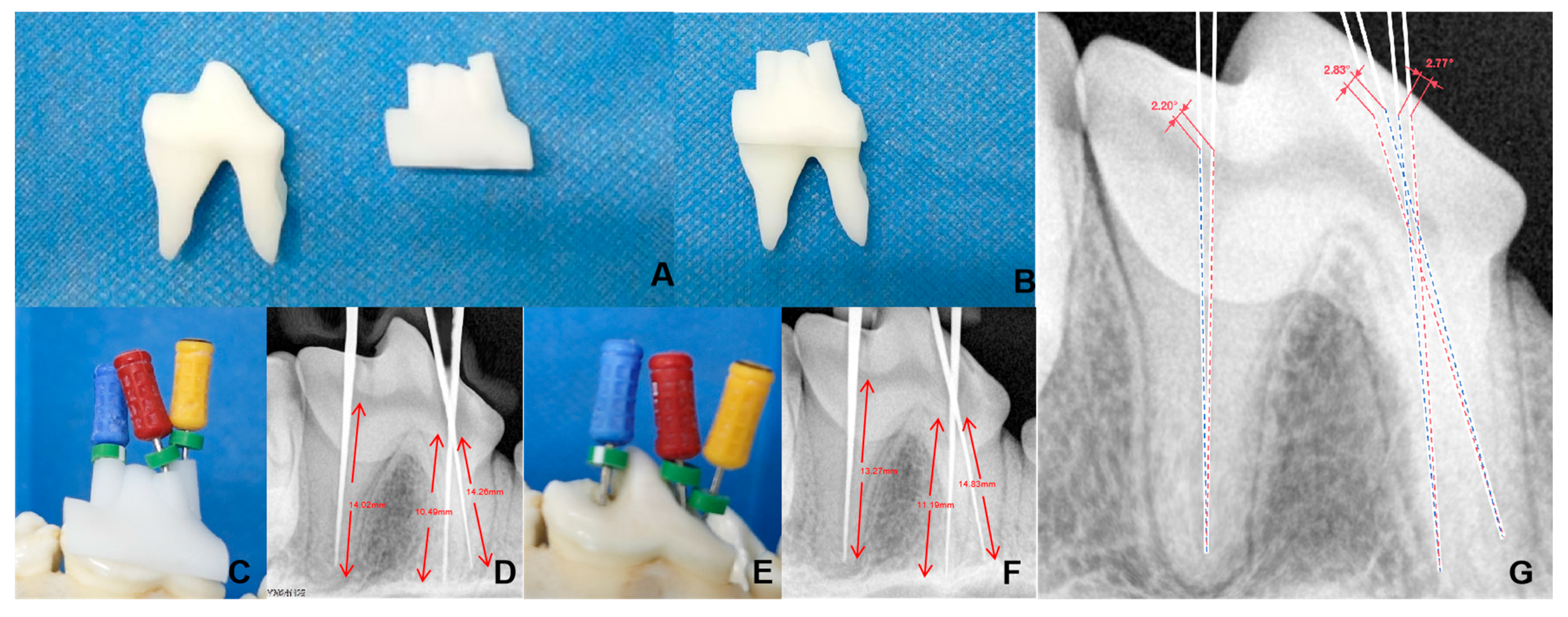 Vetsci 12 00665 g002